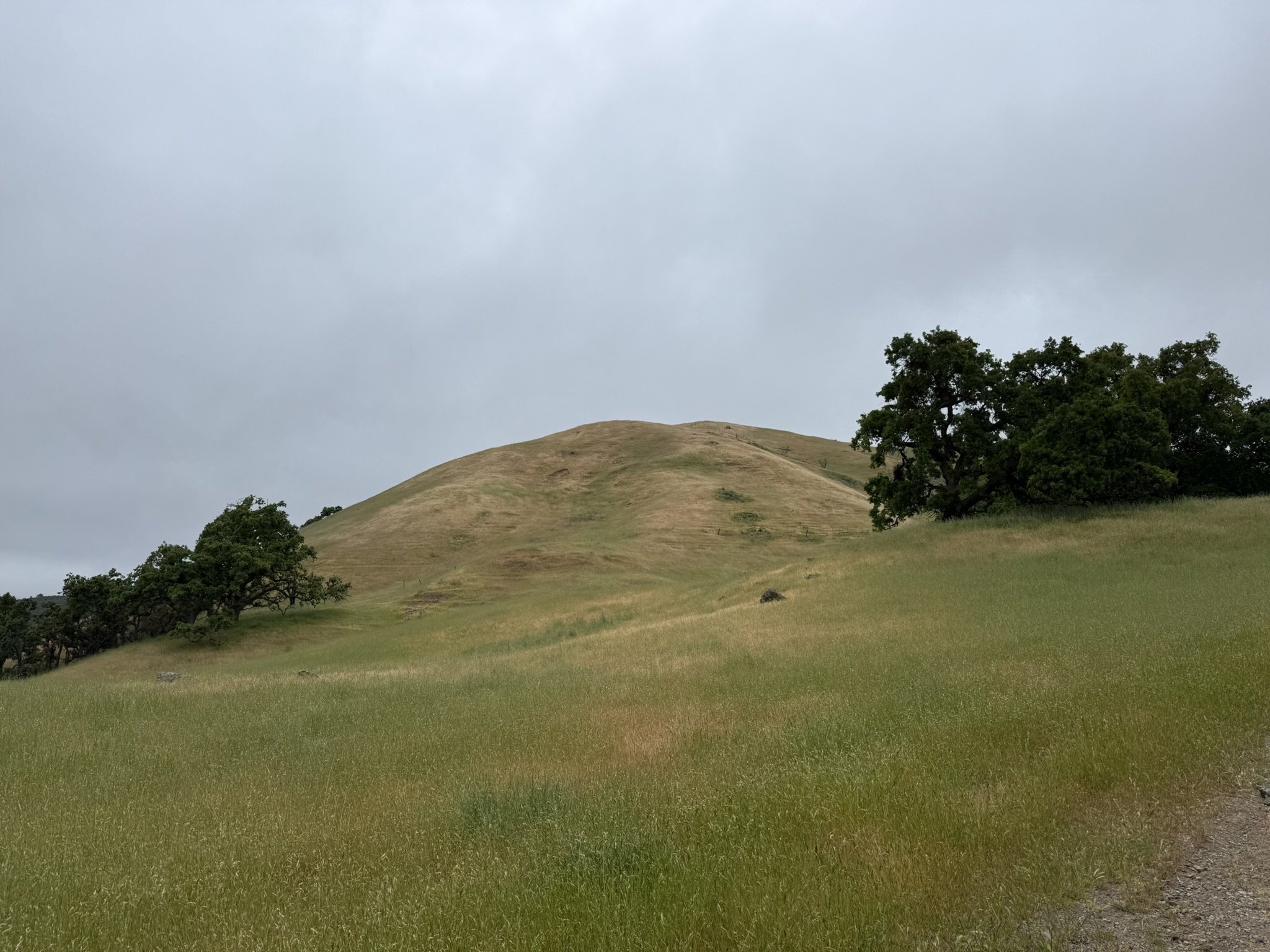 Sunol Wilderness Regional Preserve