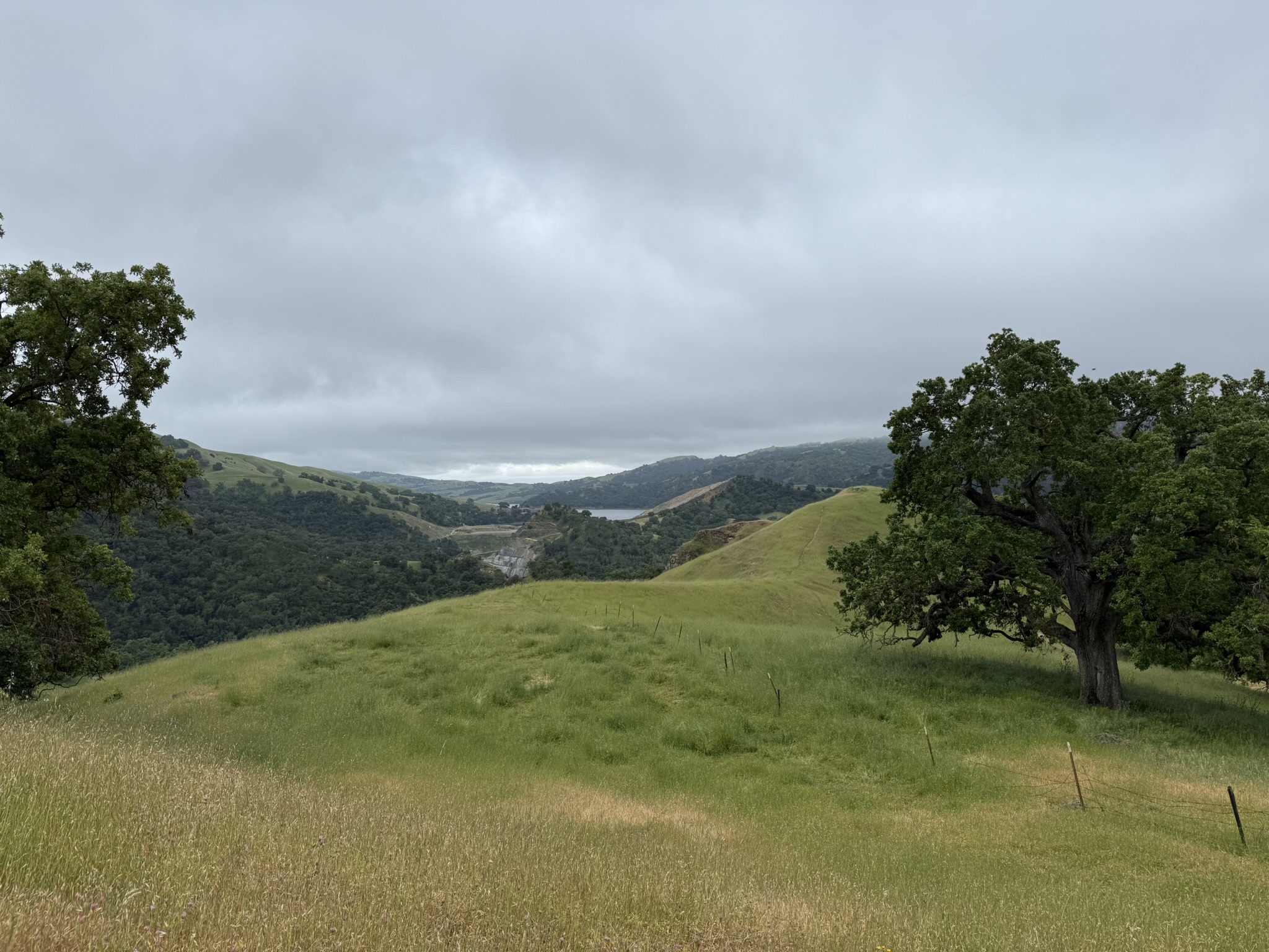 Sunol Wilderness Regional Preserve