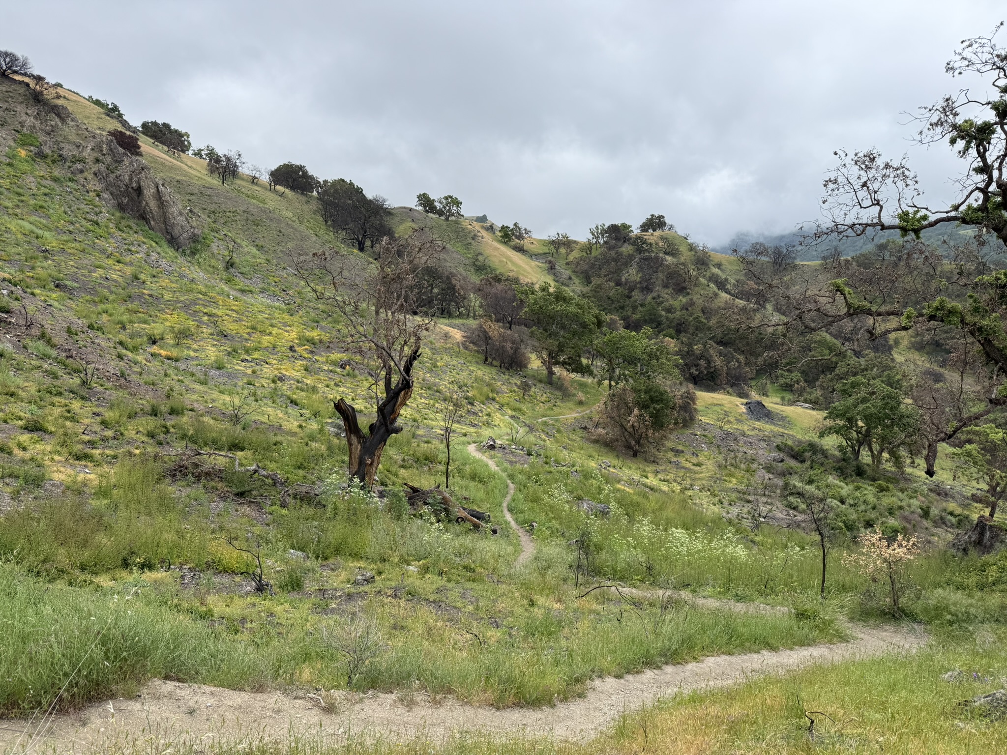 Sunol Wilderness Regional Preserve
