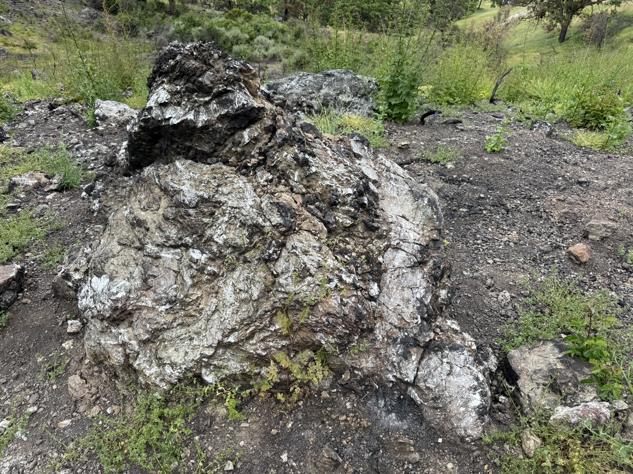 Sunol Wilderness Regional Preserve