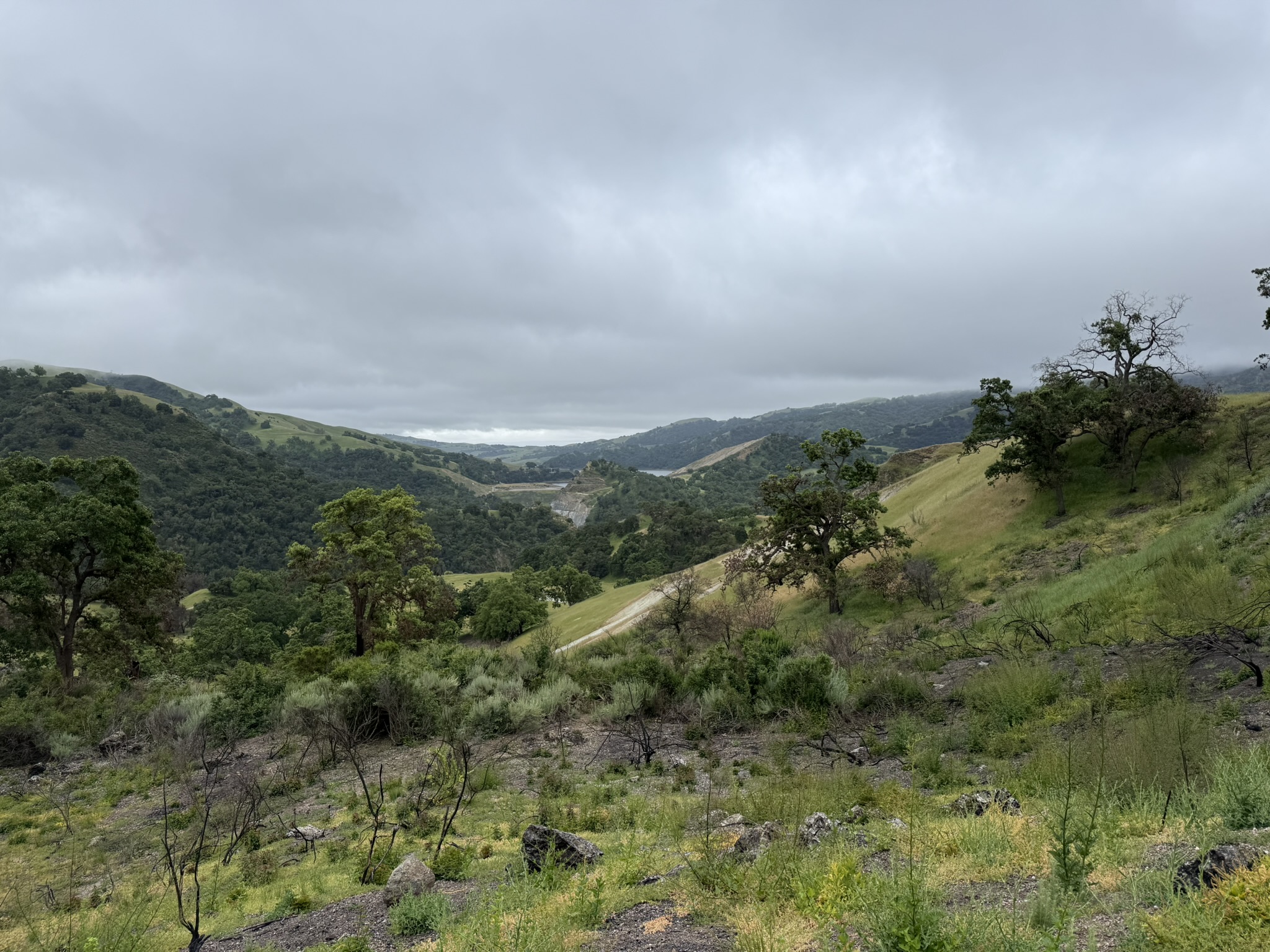 Sunol Wilderness Regional Preserve