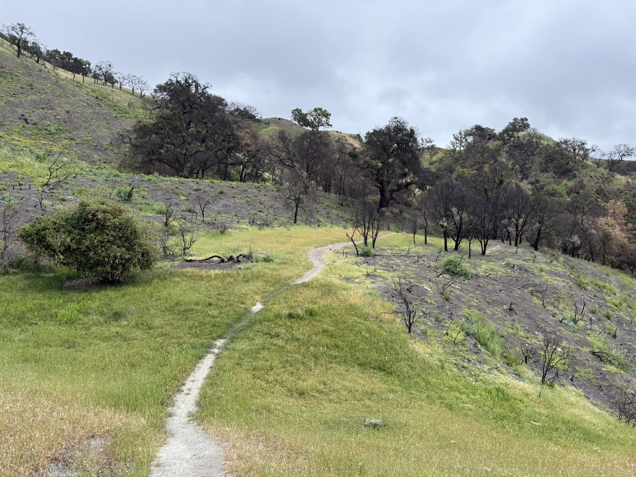 Sunol Wilderness Regional Preserve