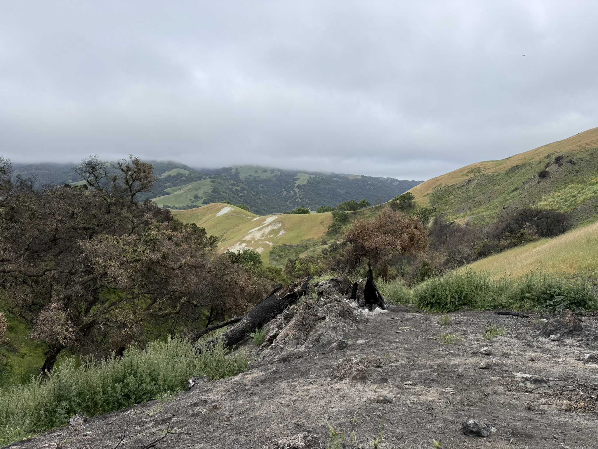 Sunol Wilderness Regional Preserve