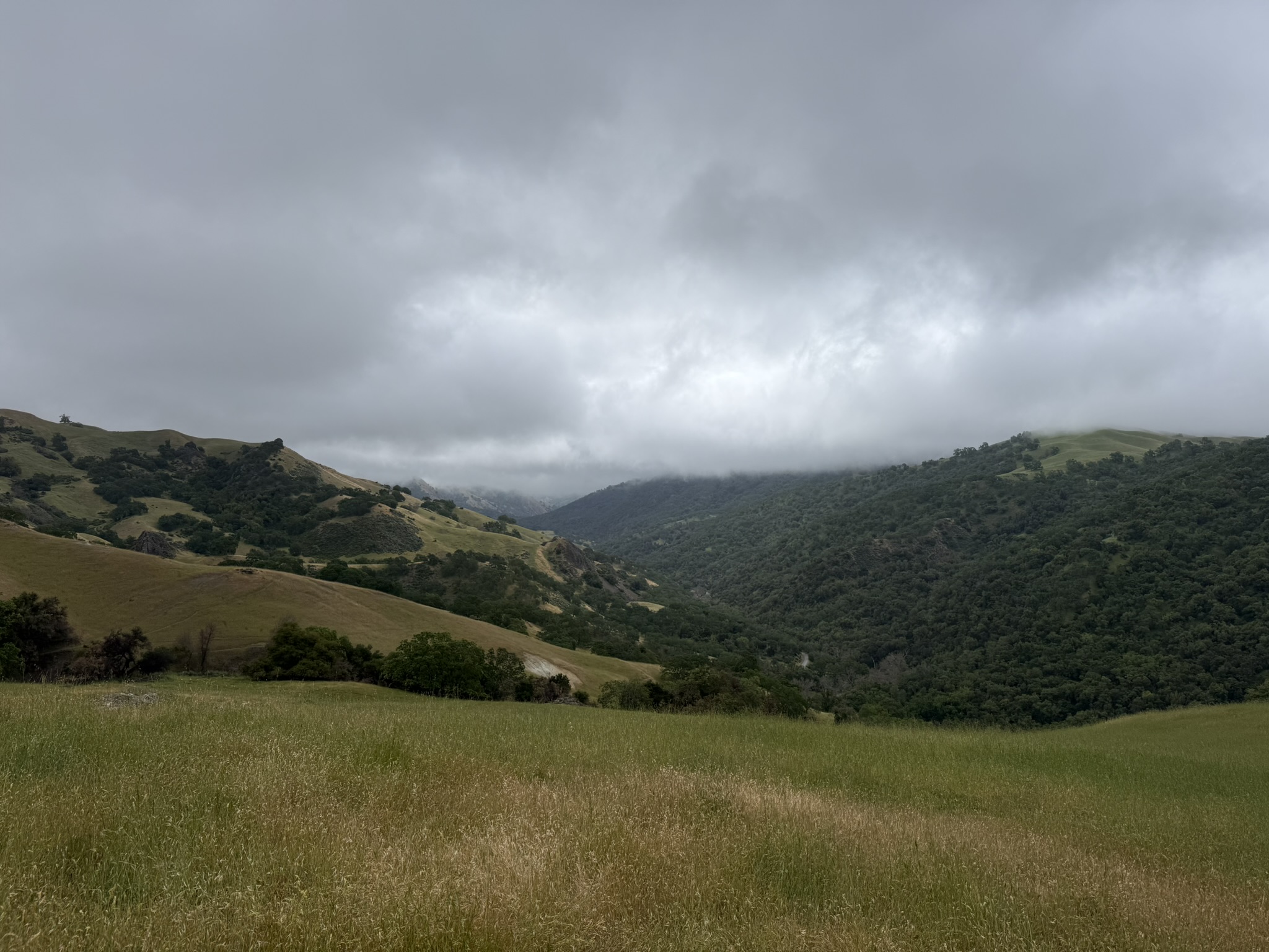 Sunol Wilderness Regional Preserve