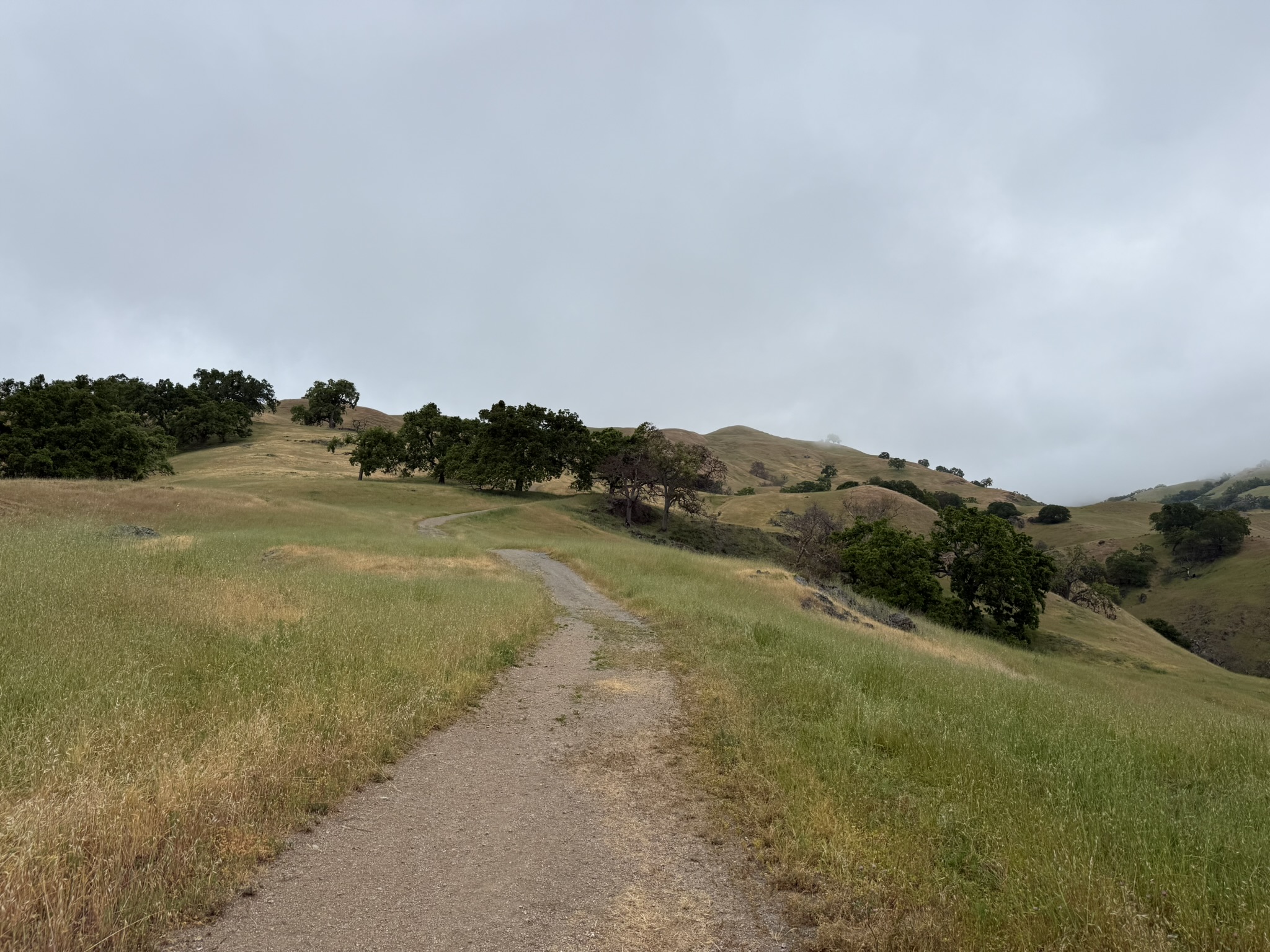 Sunol Wilderness Regional Preserve
