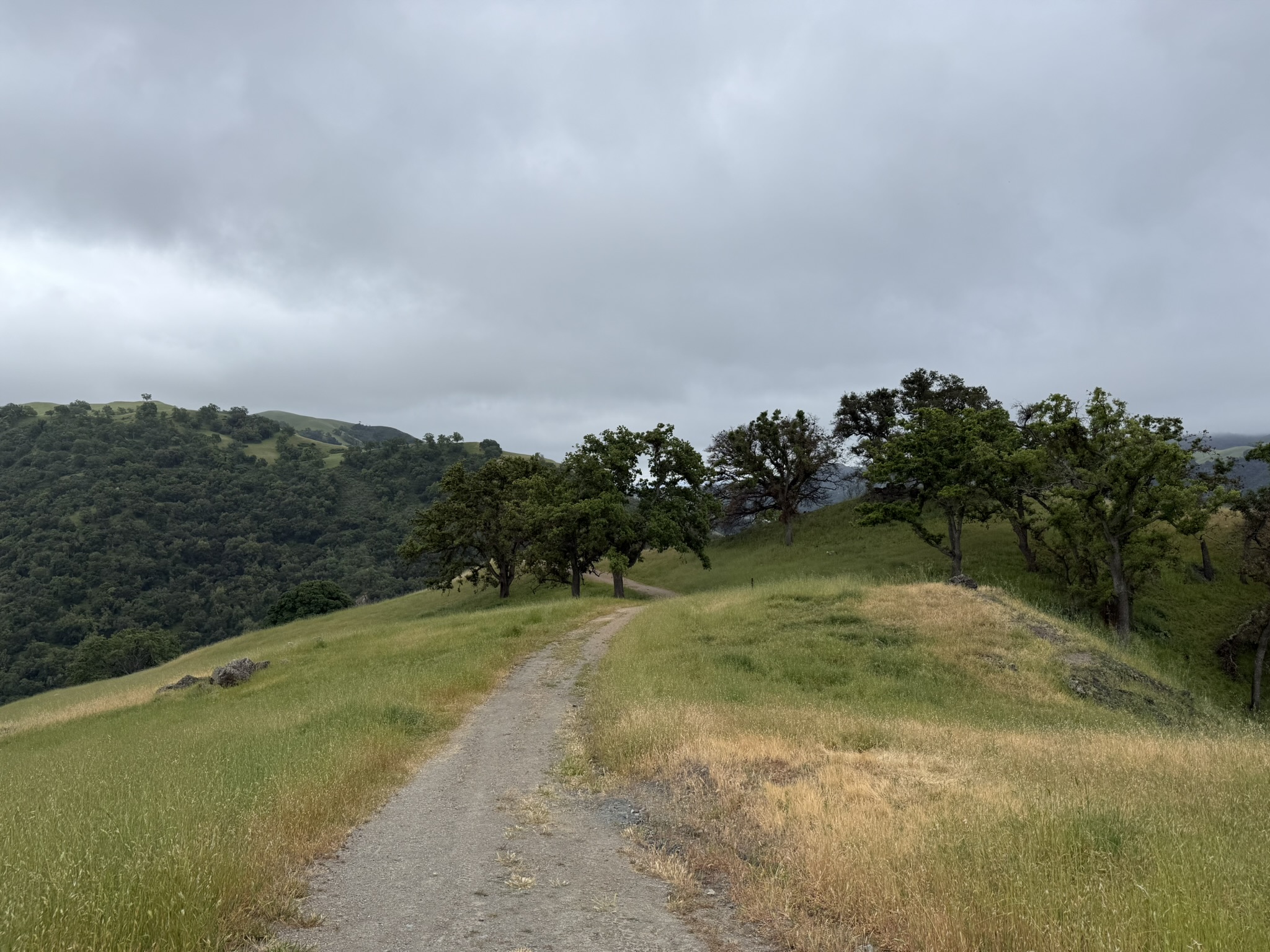 Sunol Wilderness Regional Preserve