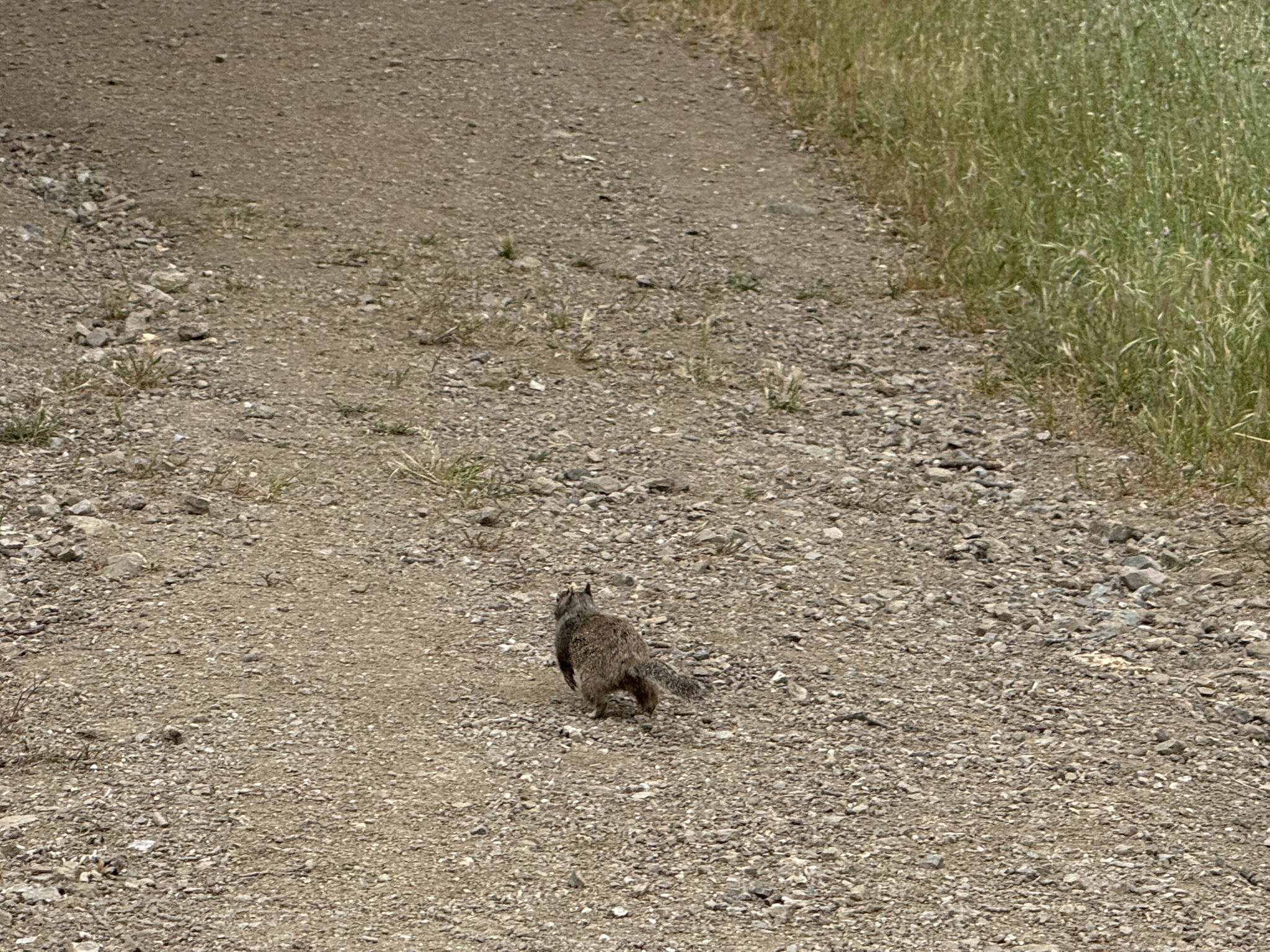 Sunol Wilderness Regional Preserve