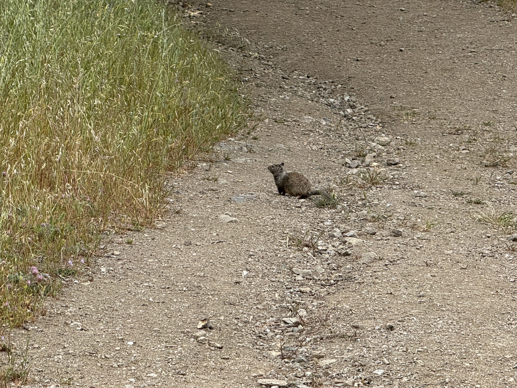 Sunol Wilderness Regional Preserve