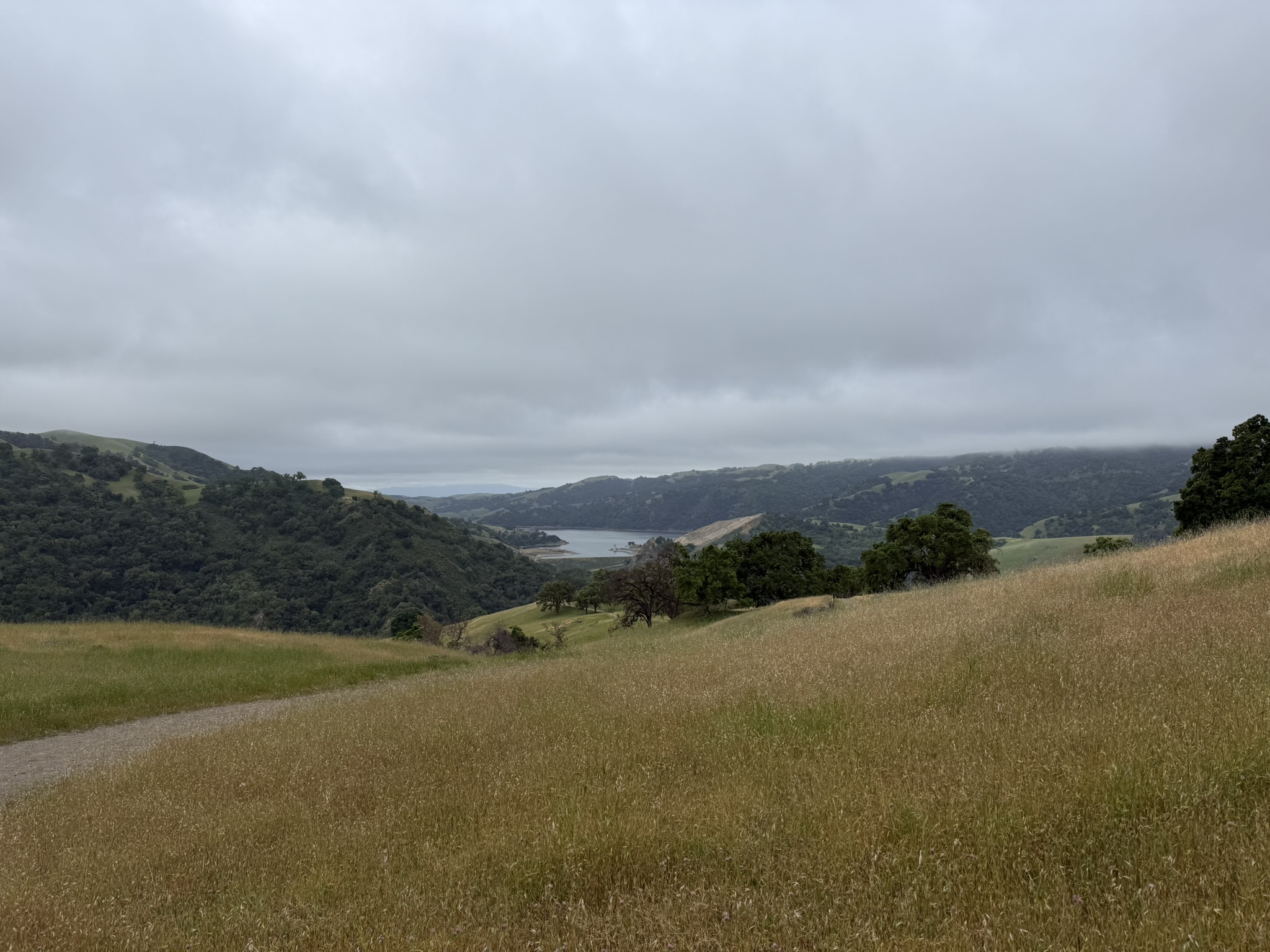 Sunol Wilderness Regional Preserve