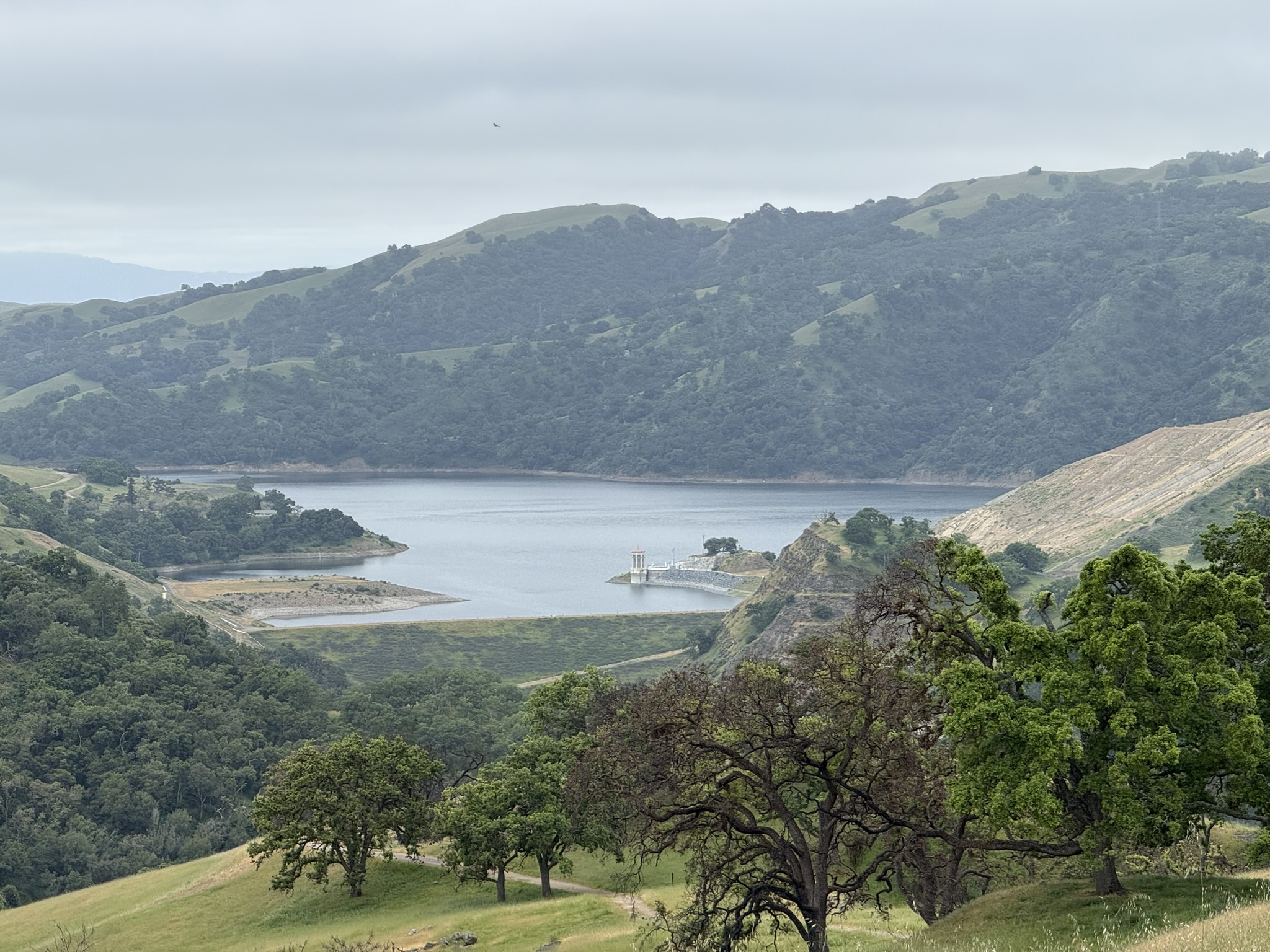 Sunol Wilderness Regional Preserve