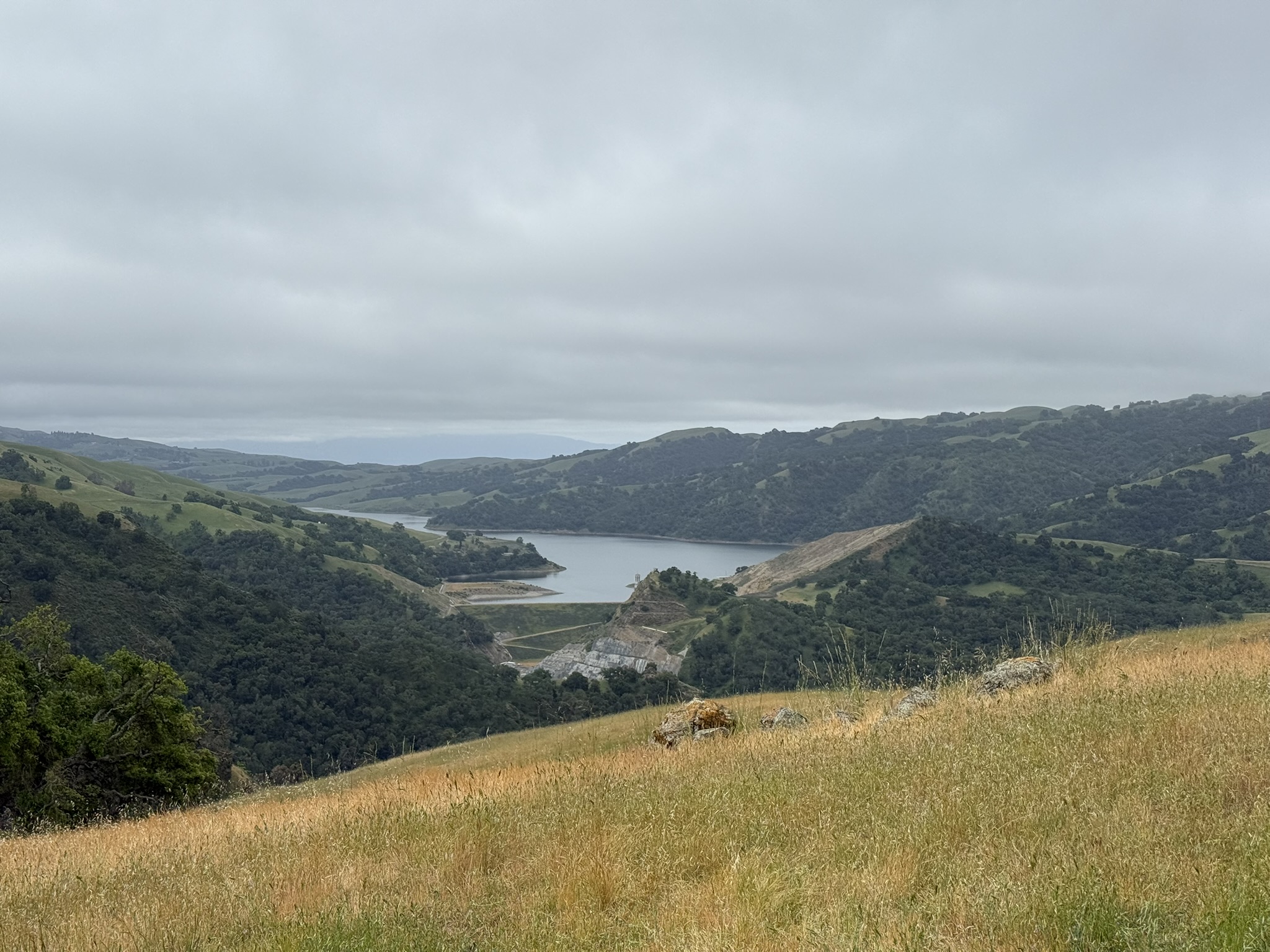 Sunol Wilderness Regional Preserve