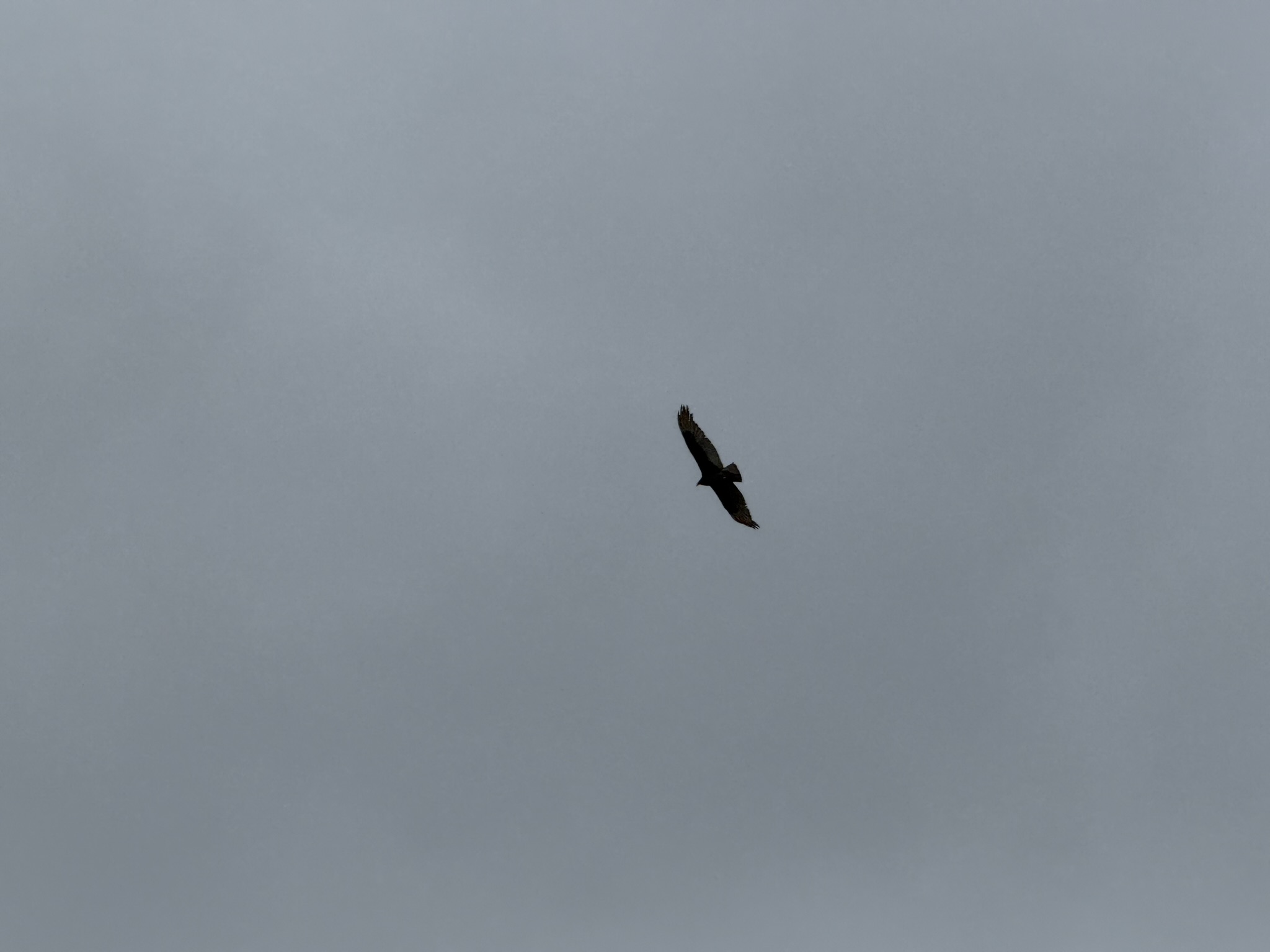 Sunol Wilderness Regional Preserve