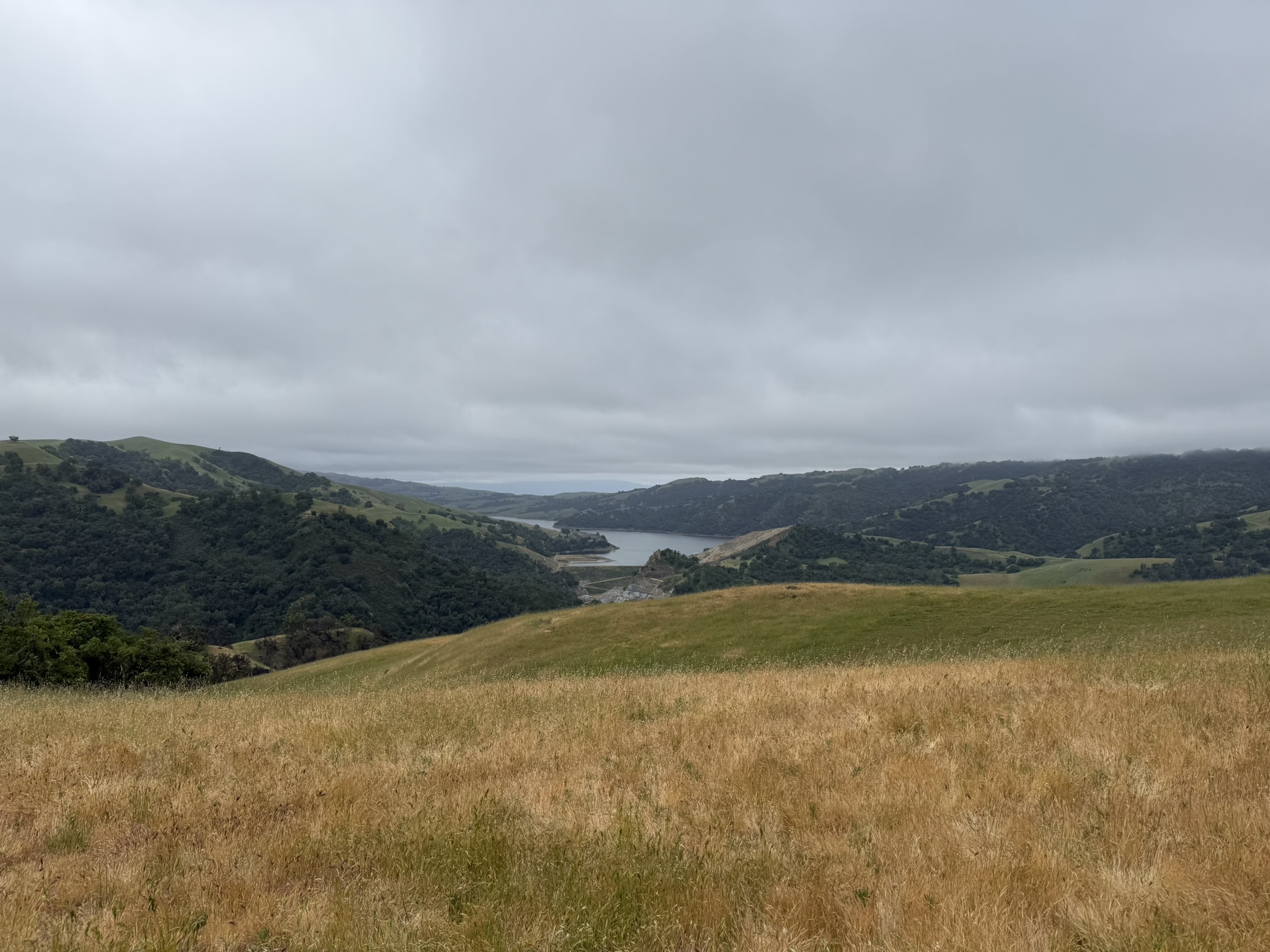 Sunol Wilderness Regional Preserve