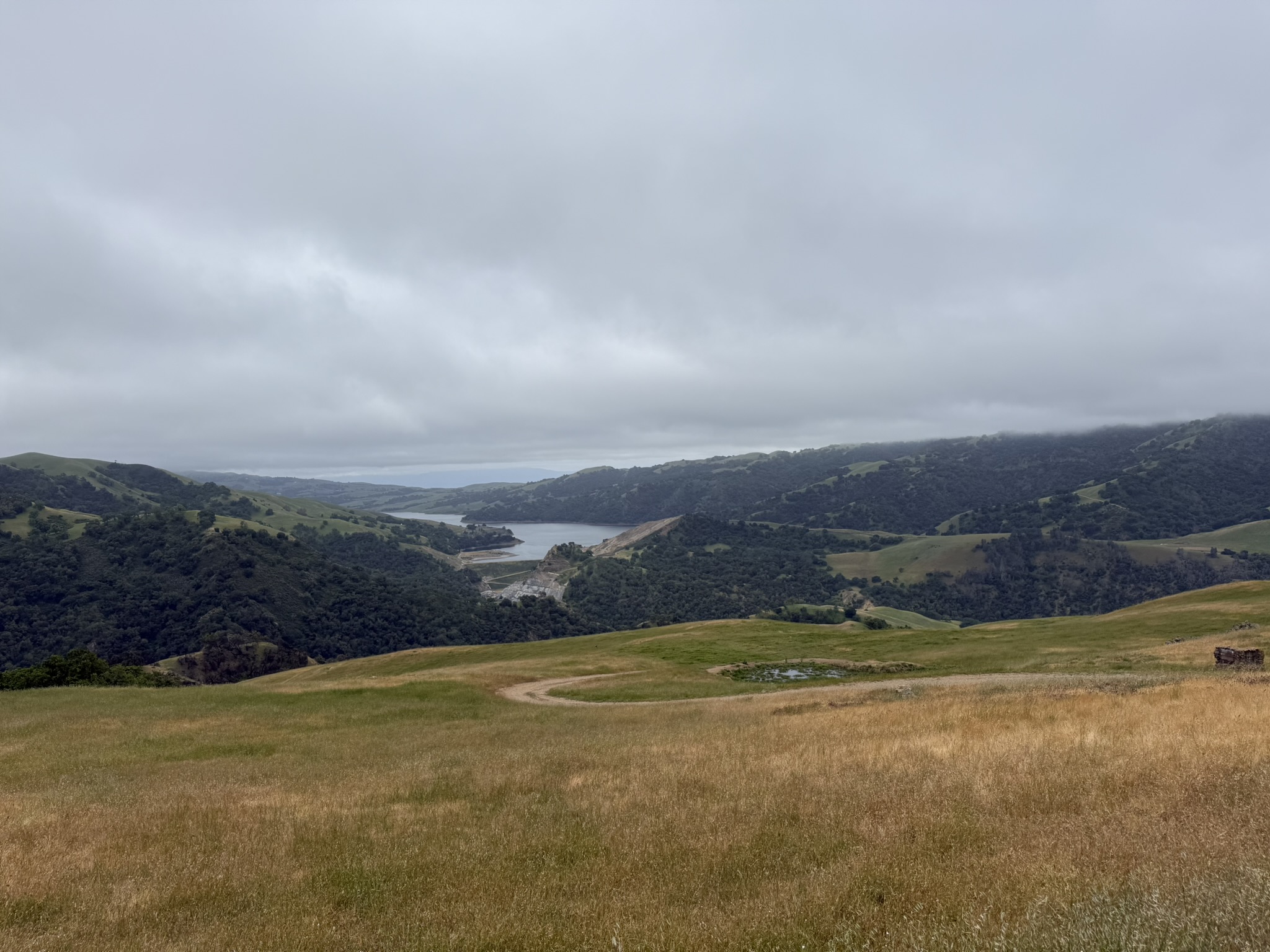 Sunol Wilderness Regional Preserve