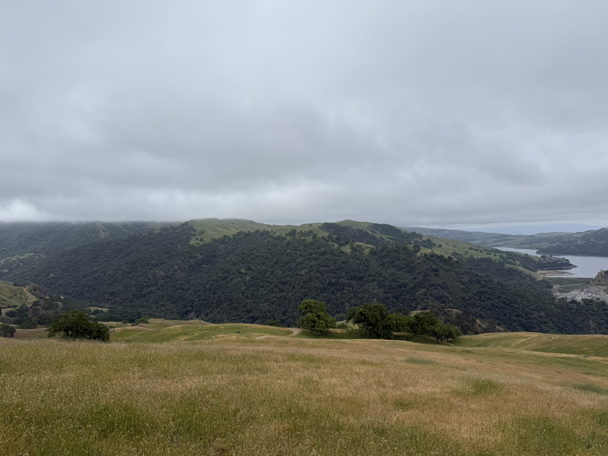 Sunol Wilderness Regional Preserve