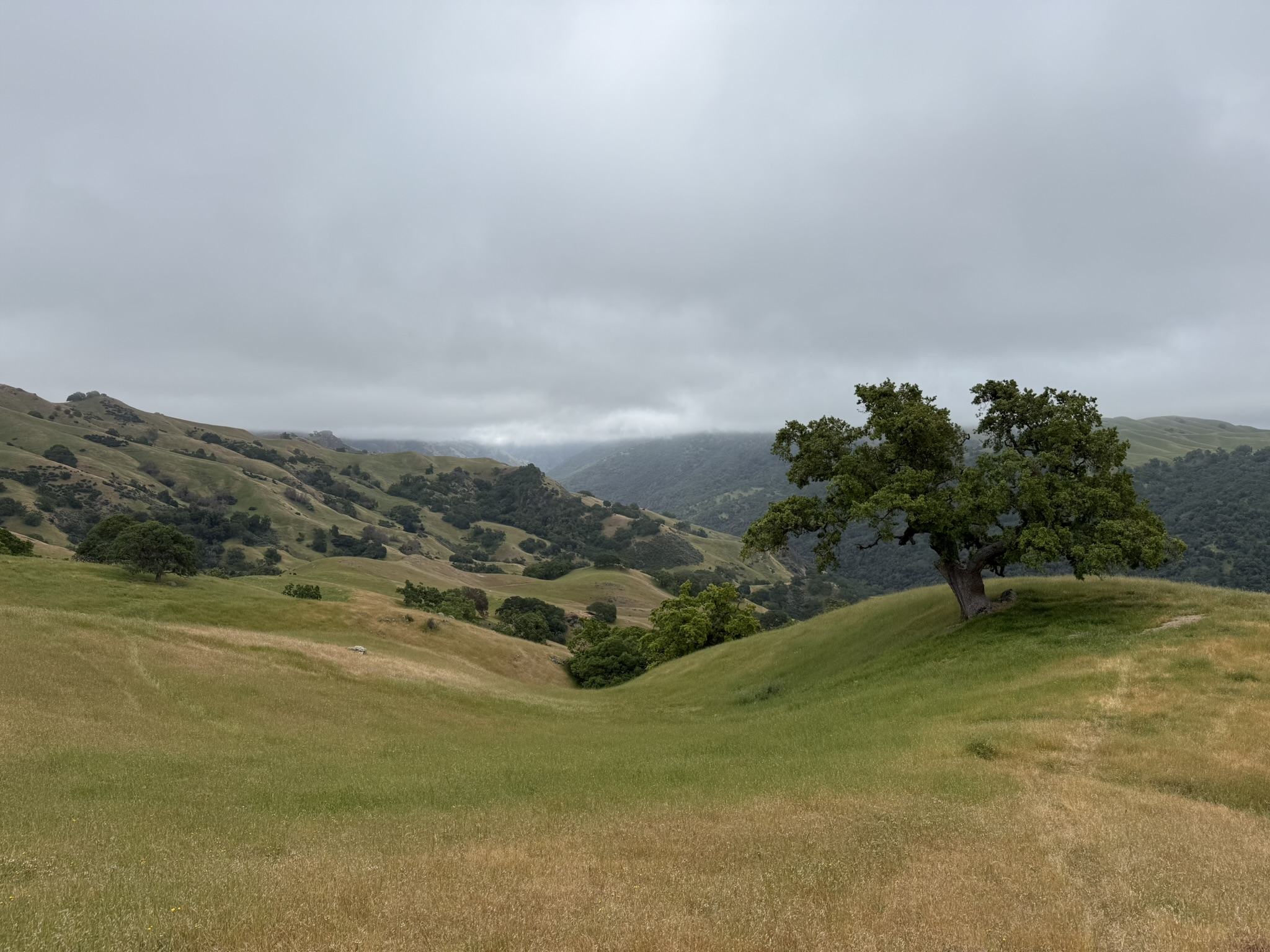 Sunol Wilderness Regional Preserve