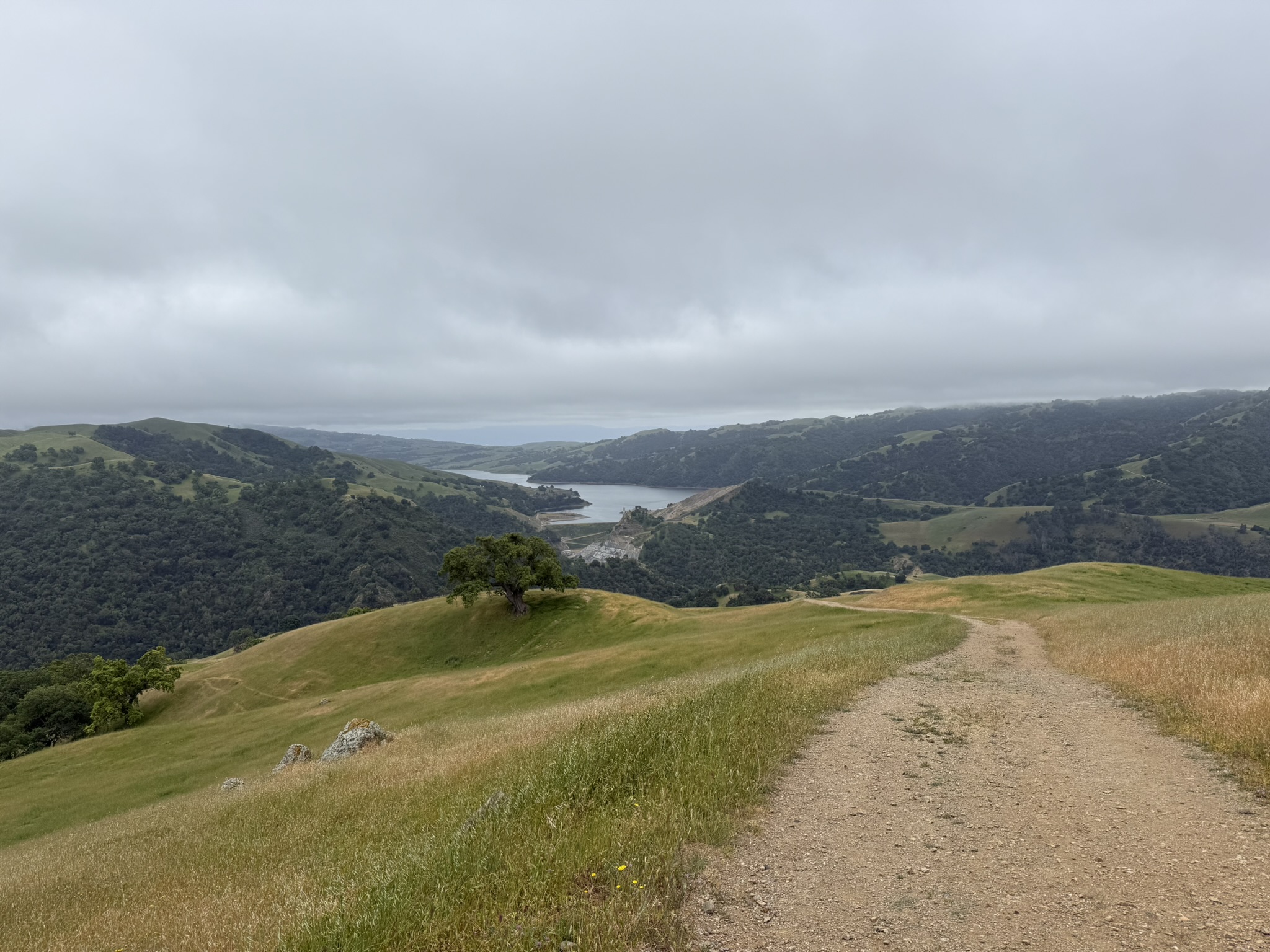 Sunol Wilderness Regional Preserve