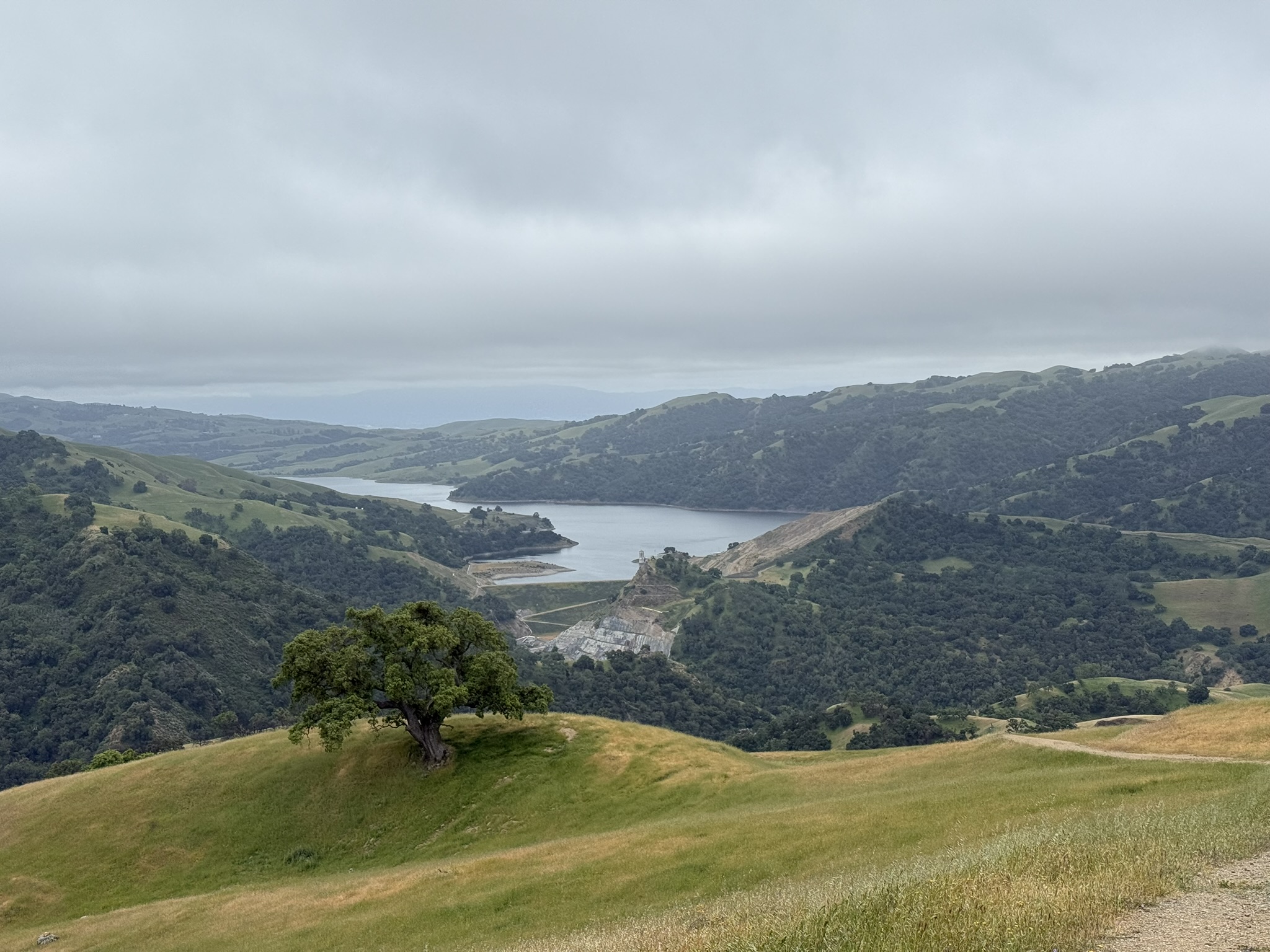 Sunol Wilderness Regional Preserve
