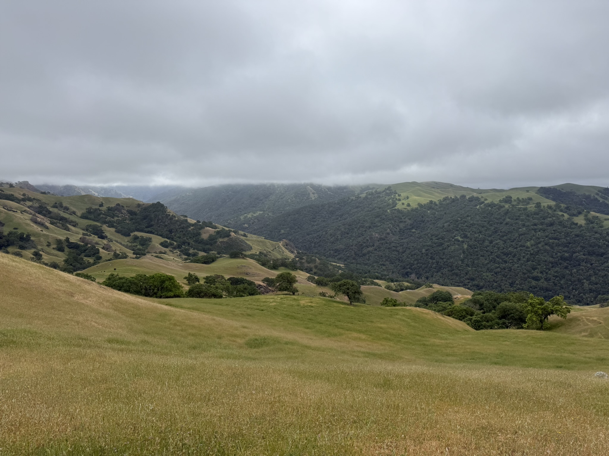Sunol Wilderness Regional Preserve
