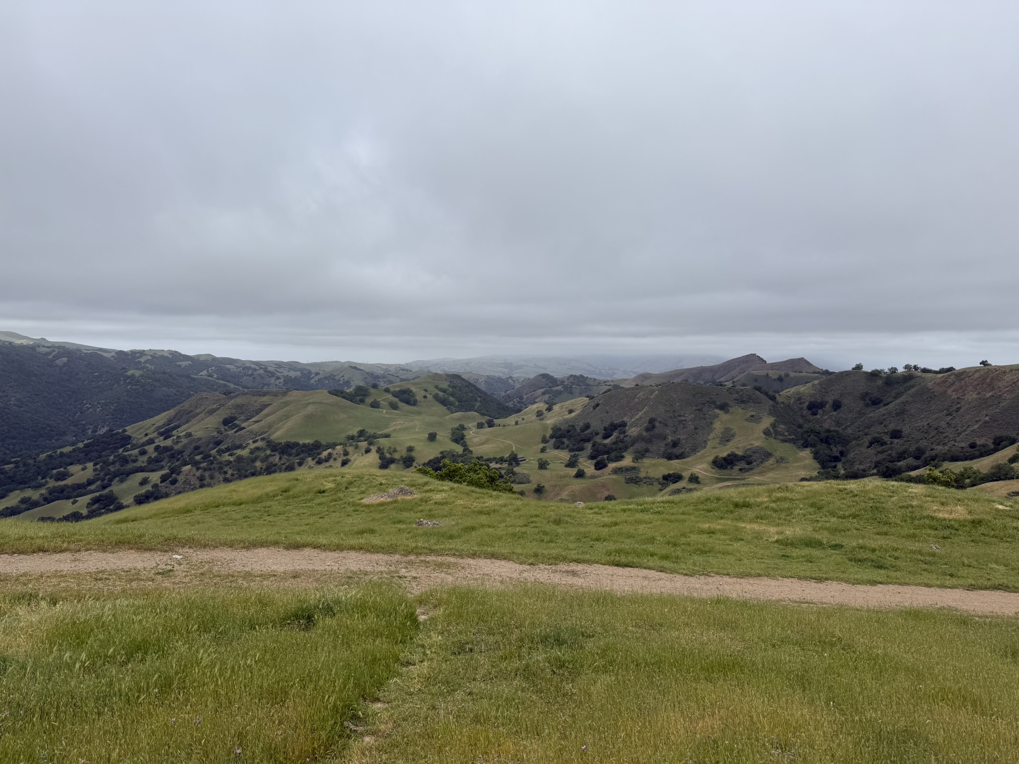 Sunol Wilderness Regional Preserve