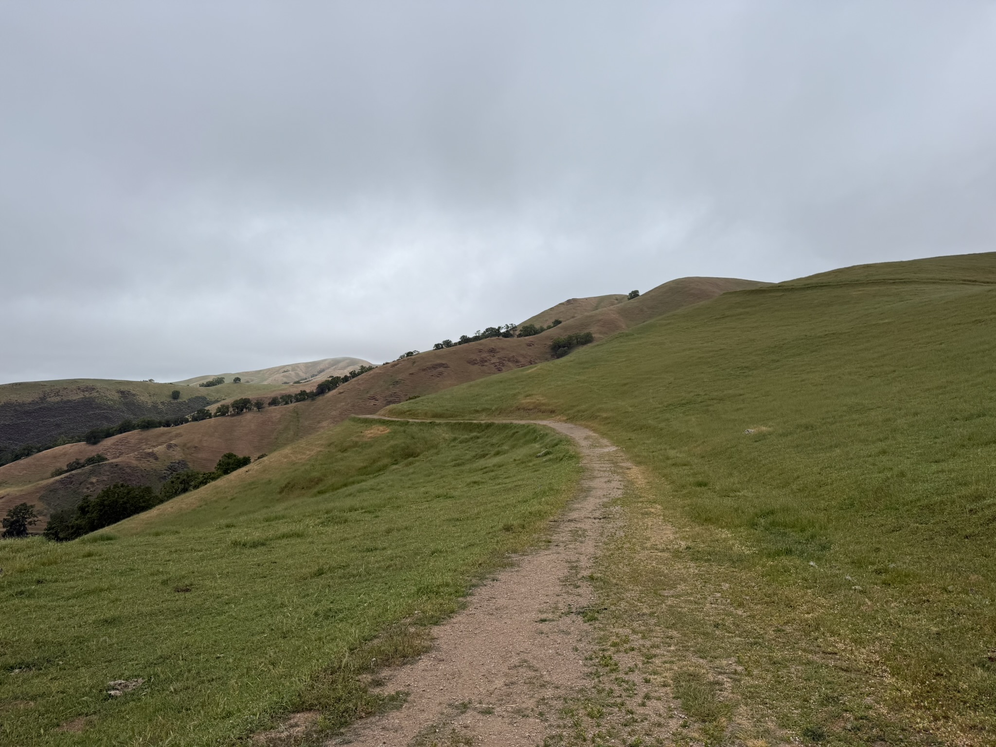 Sunol Wilderness Regional Preserve
