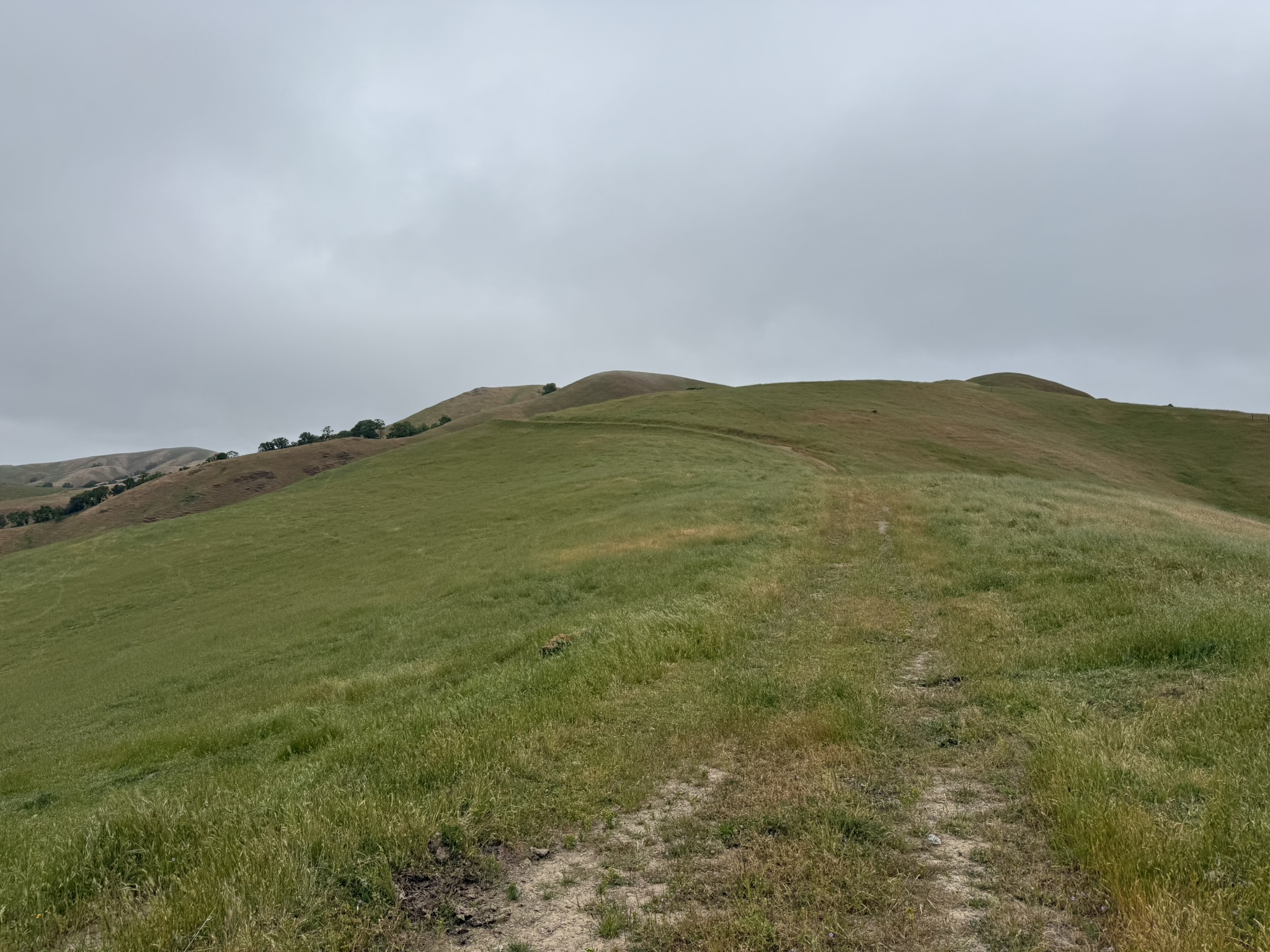 Sunol Wilderness Regional Preserve