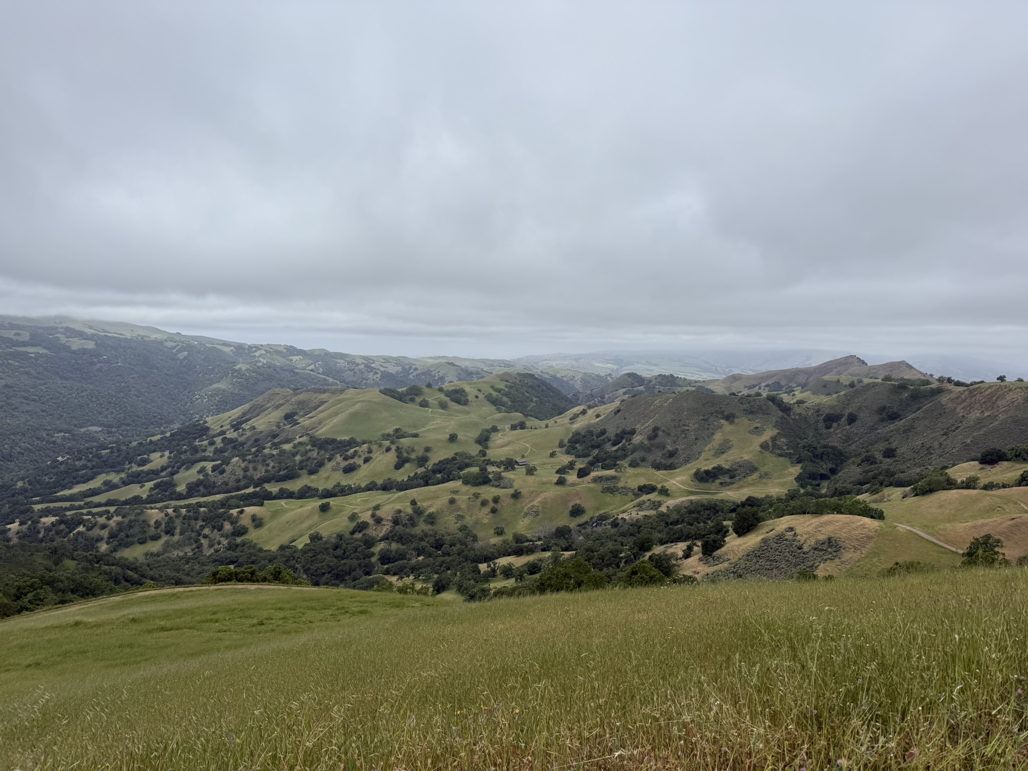 Sunol Wilderness Regional Preserve