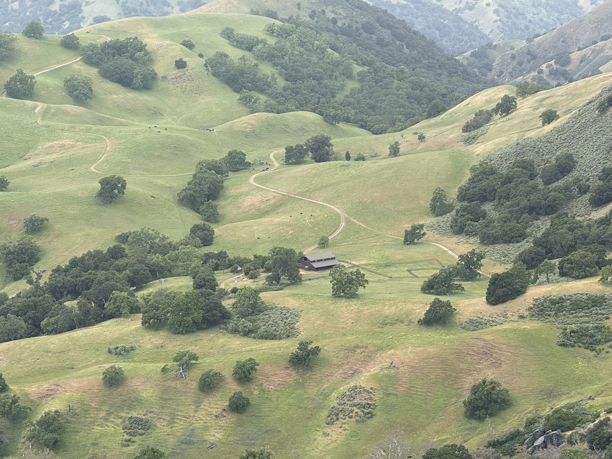 Sunol Wilderness Regional Preserve