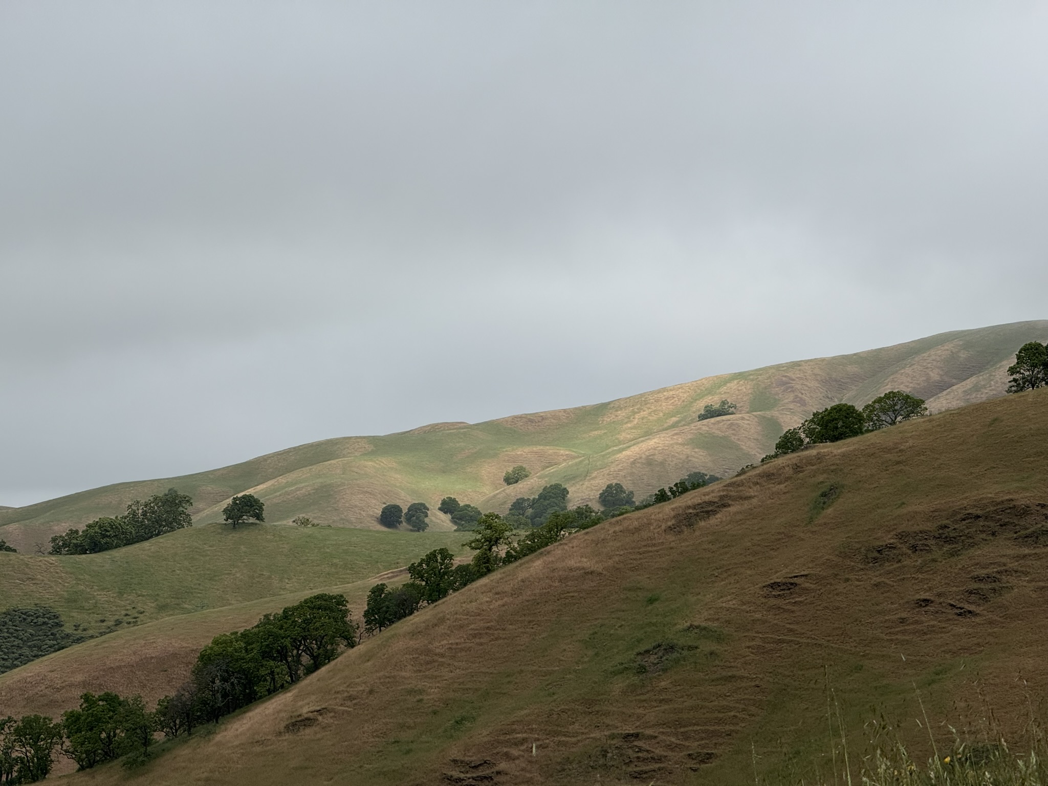 Sunol Wilderness Regional Preserve