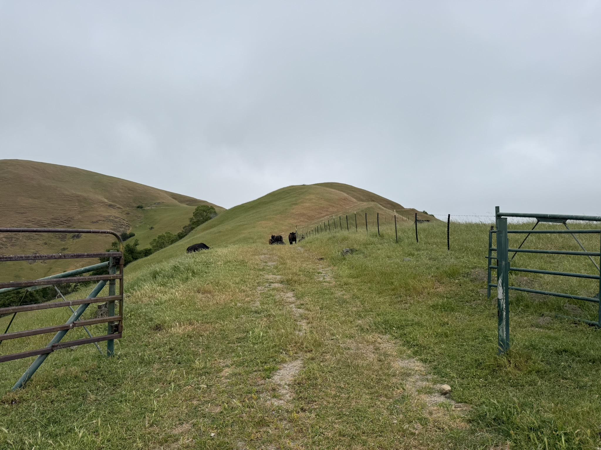 Sunol Wilderness Regional Preserve