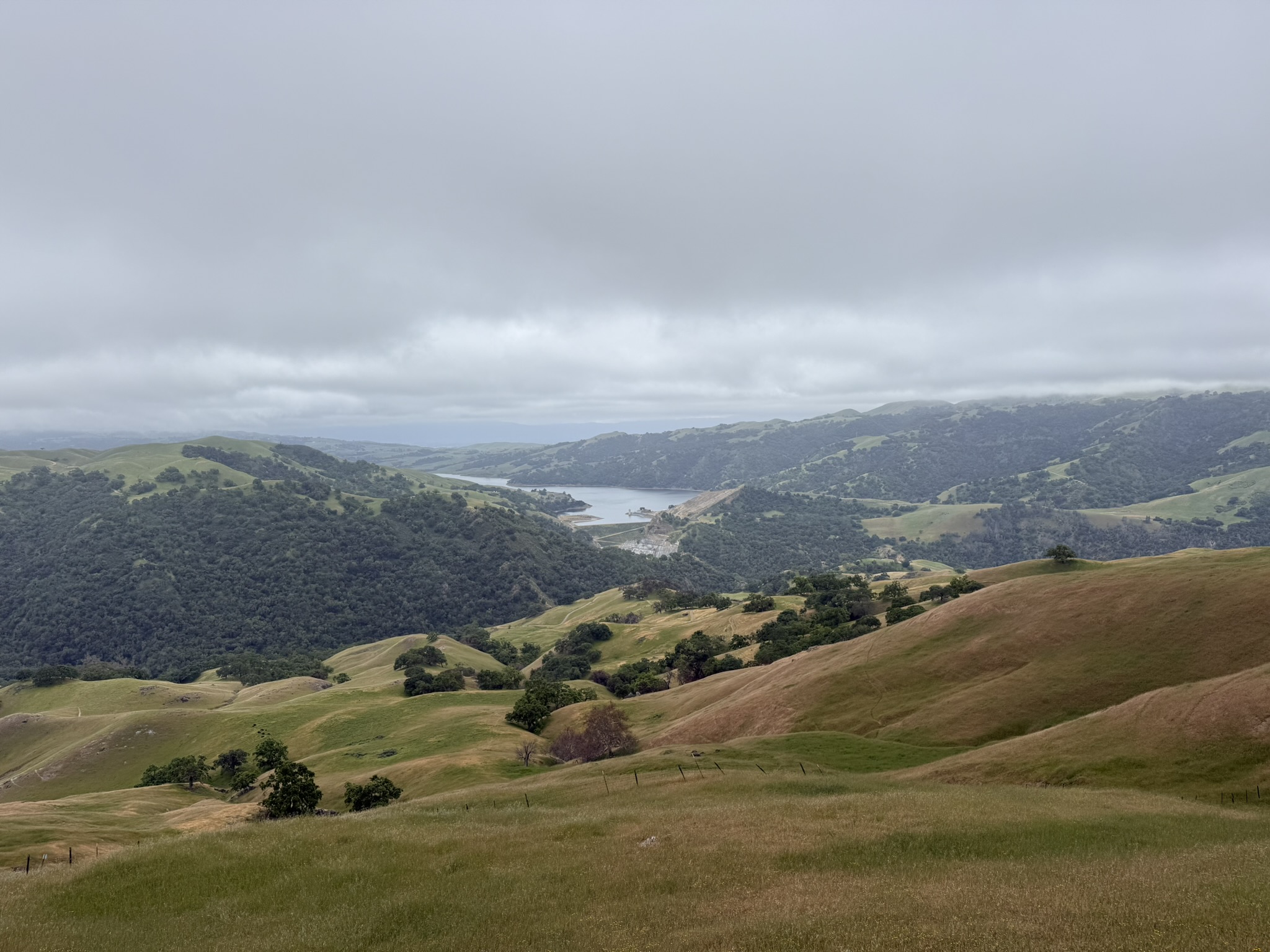 Sunol Wilderness Regional Preserve