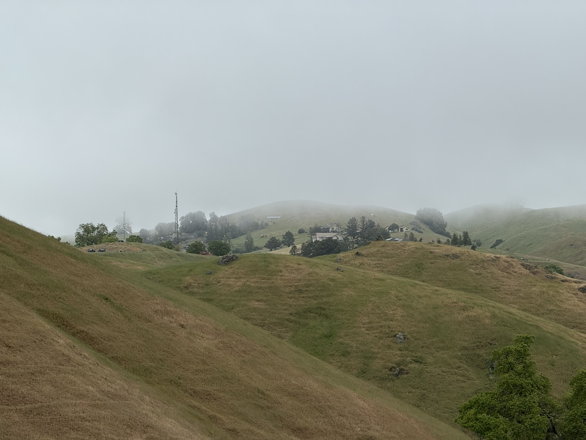 Sunol Wilderness Regional Preserve