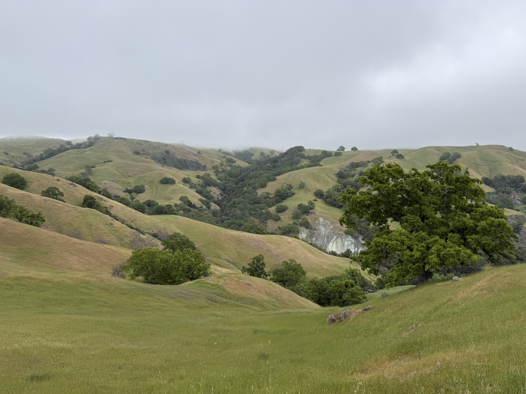 Sunol Wilderness Regional Preserve