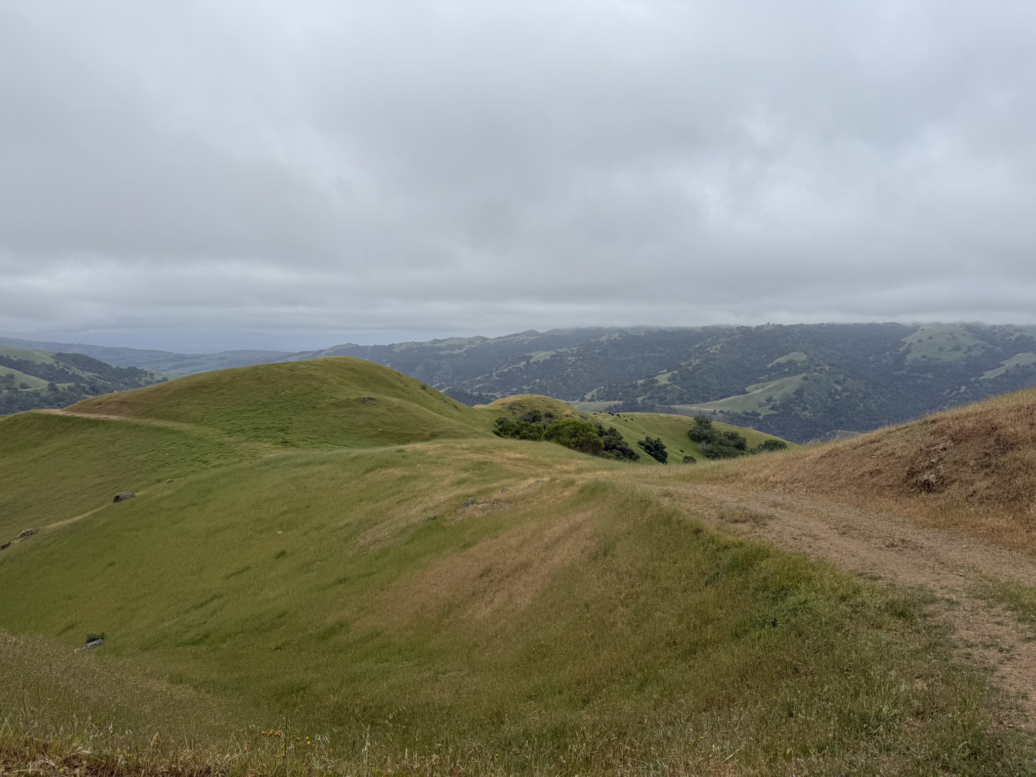 Sunol Wilderness Regional Preserve