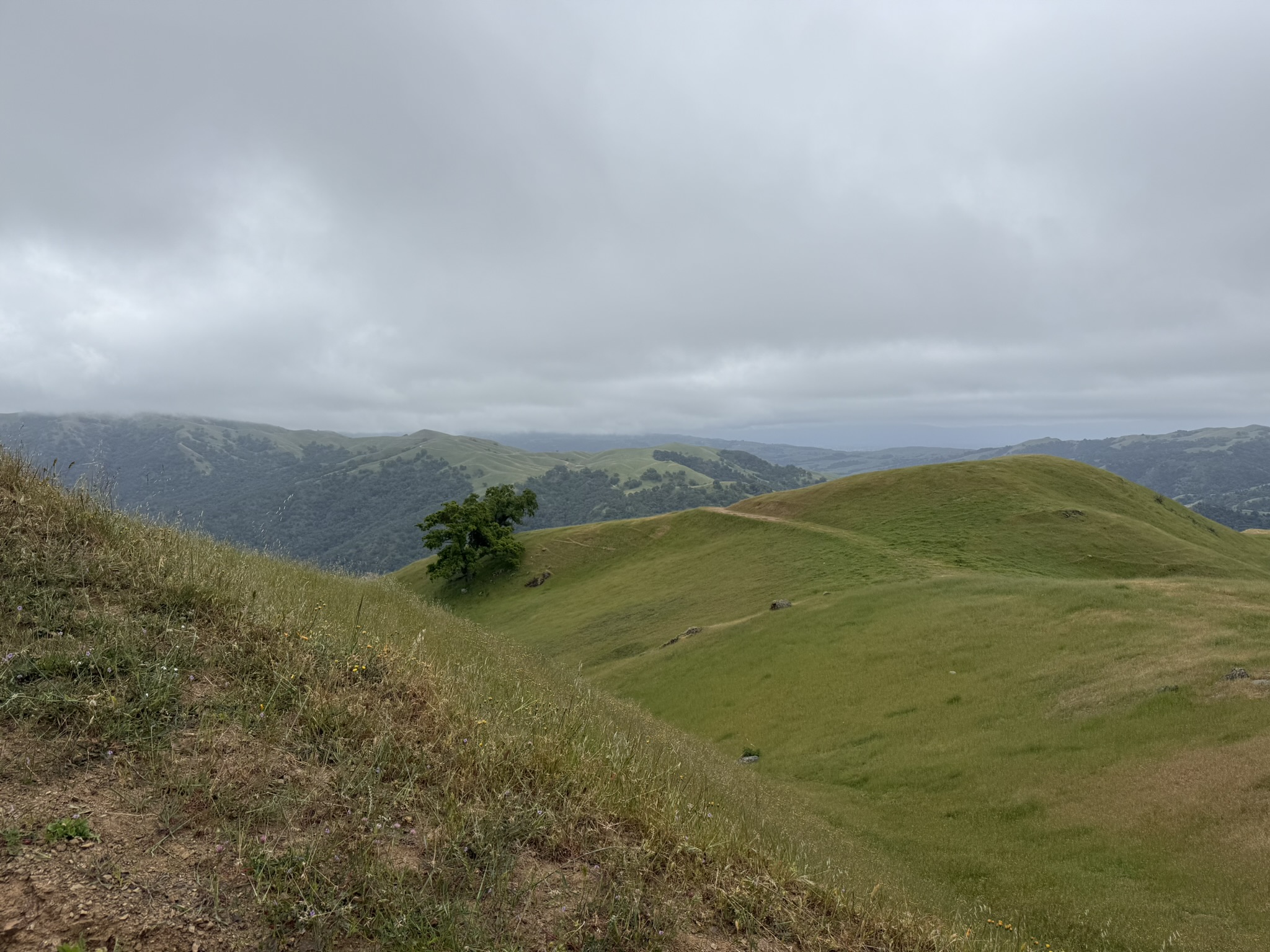 Sunol Wilderness Regional Preserve