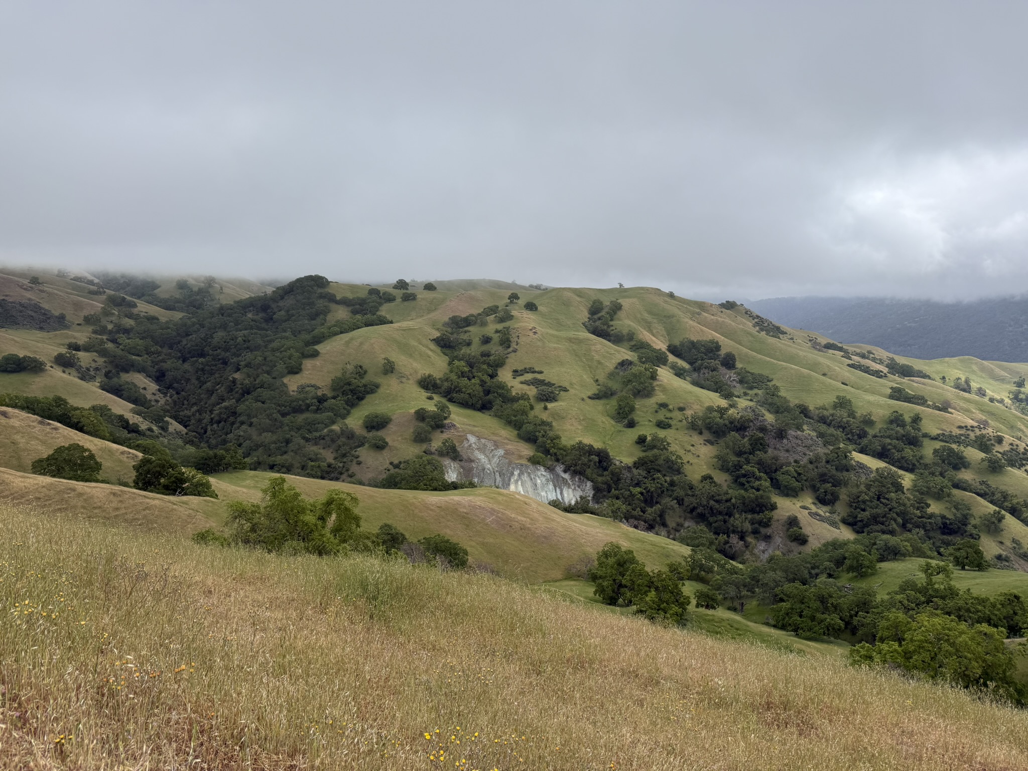 Sunol Wilderness Regional Preserve