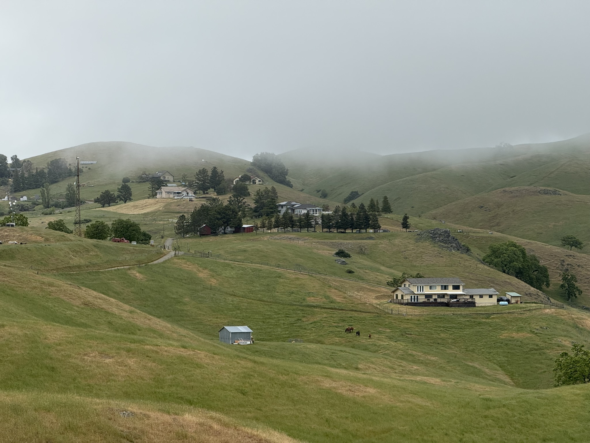 Sunol Wilderness Regional Preserve