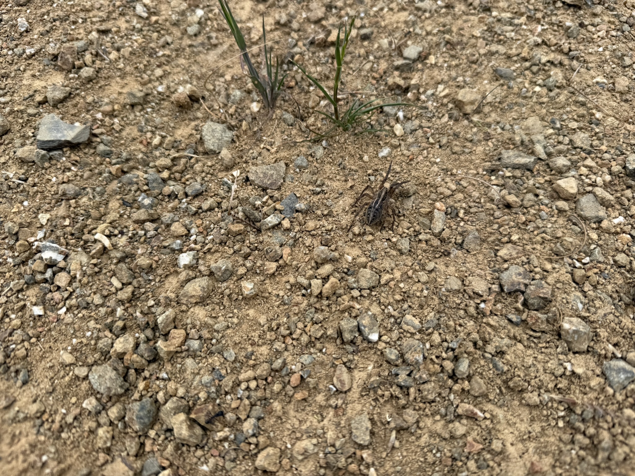 Sunol Wilderness Regional Preserve