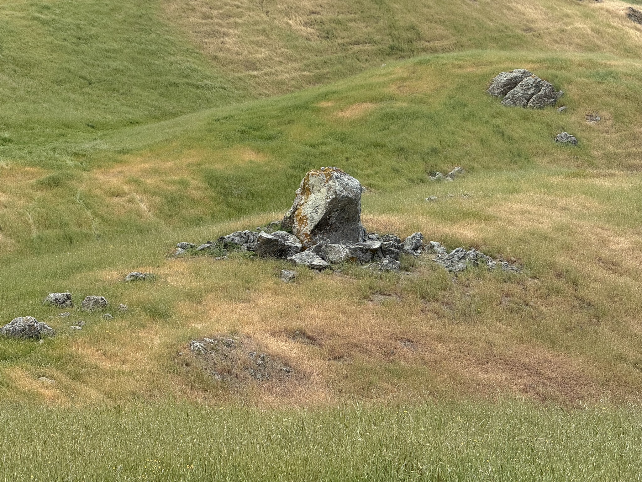 Sunol Wilderness Regional Preserve