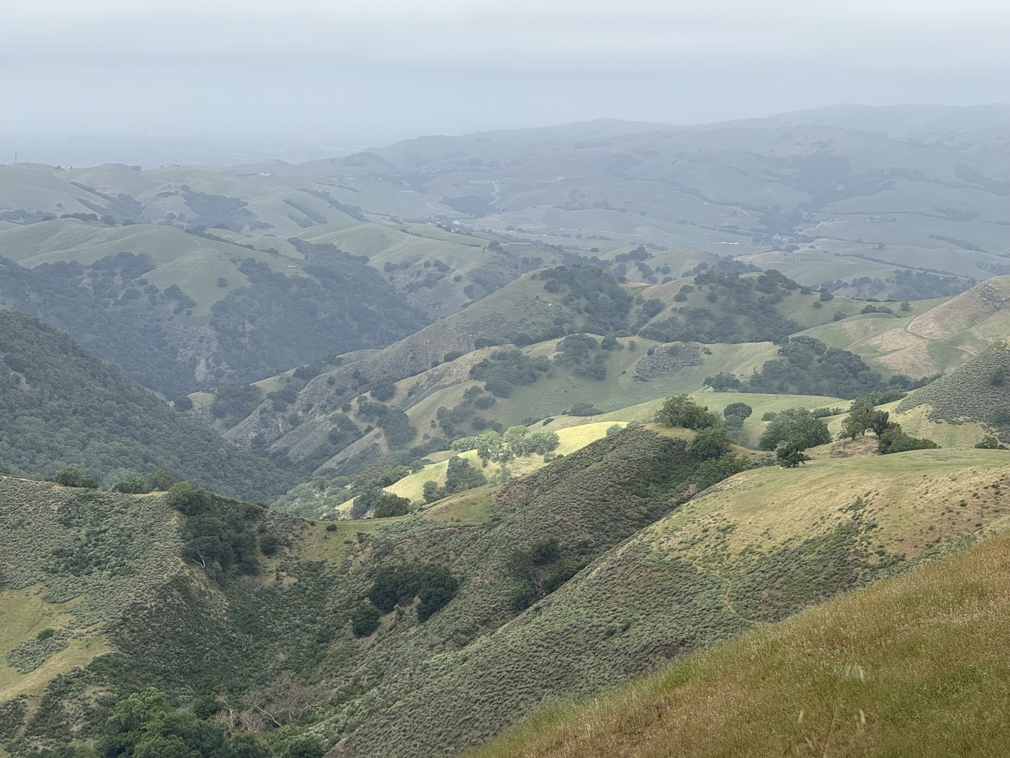 Sunol Wilderness Regional Preserve