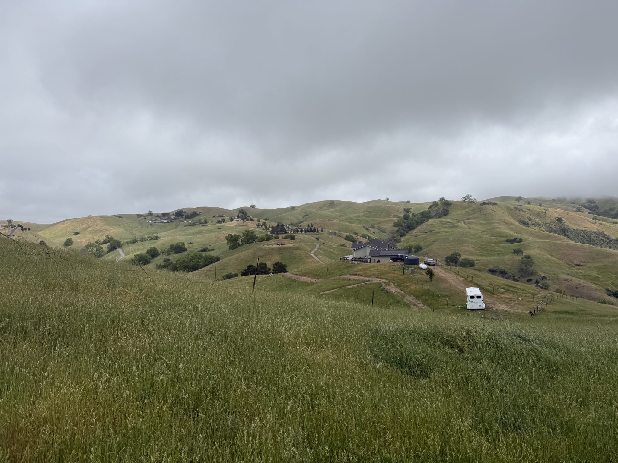 Sunol Wilderness Regional Preserve