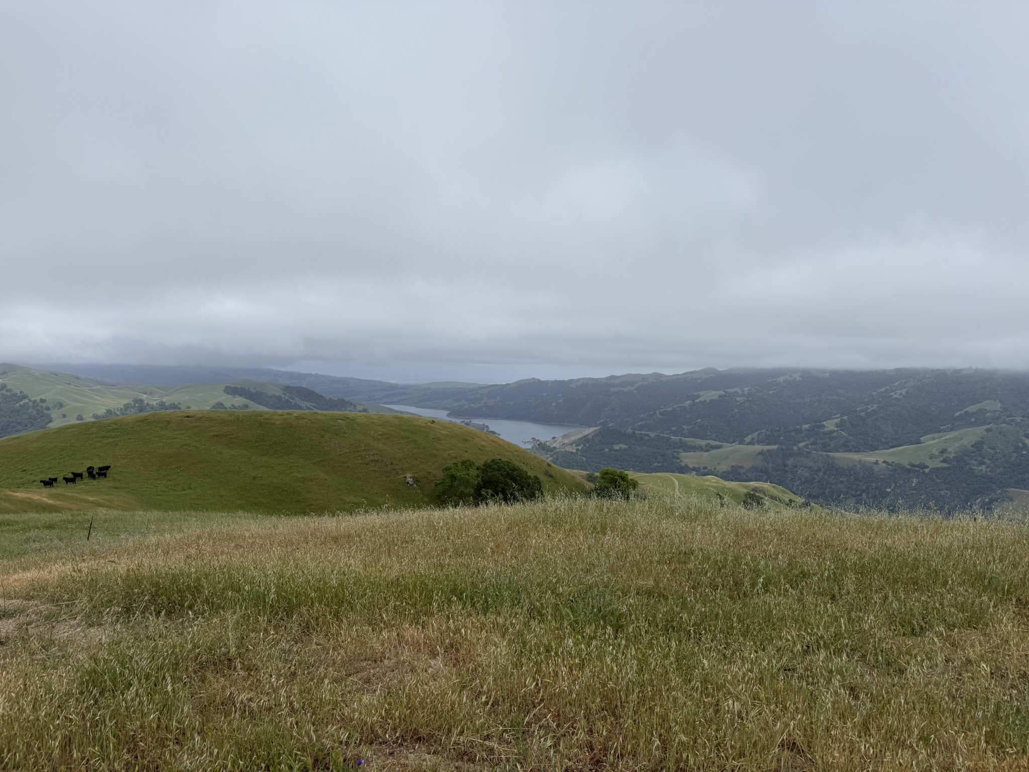 Sunol Wilderness Regional Preserve