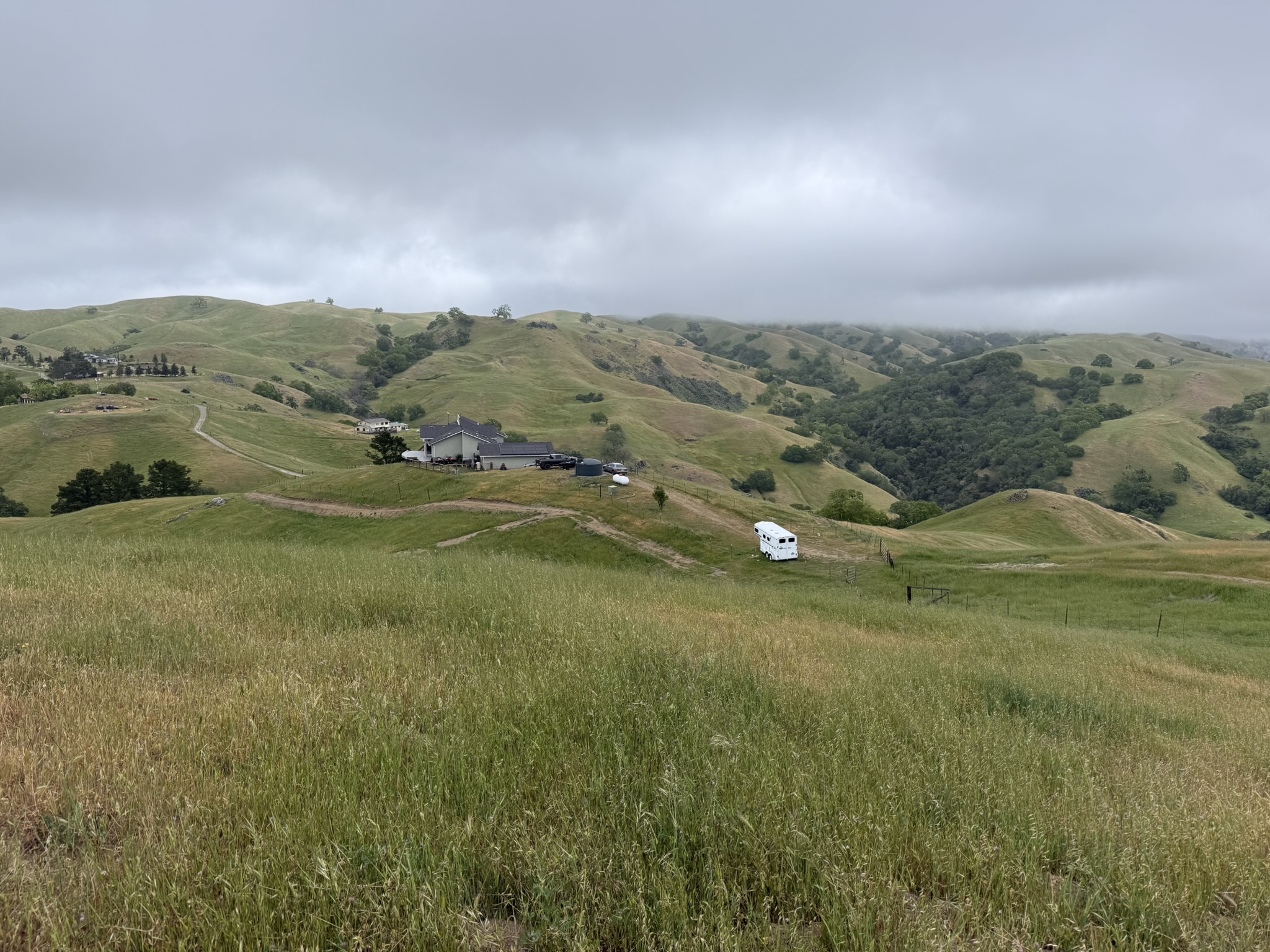 Sunol Wilderness Regional Preserve