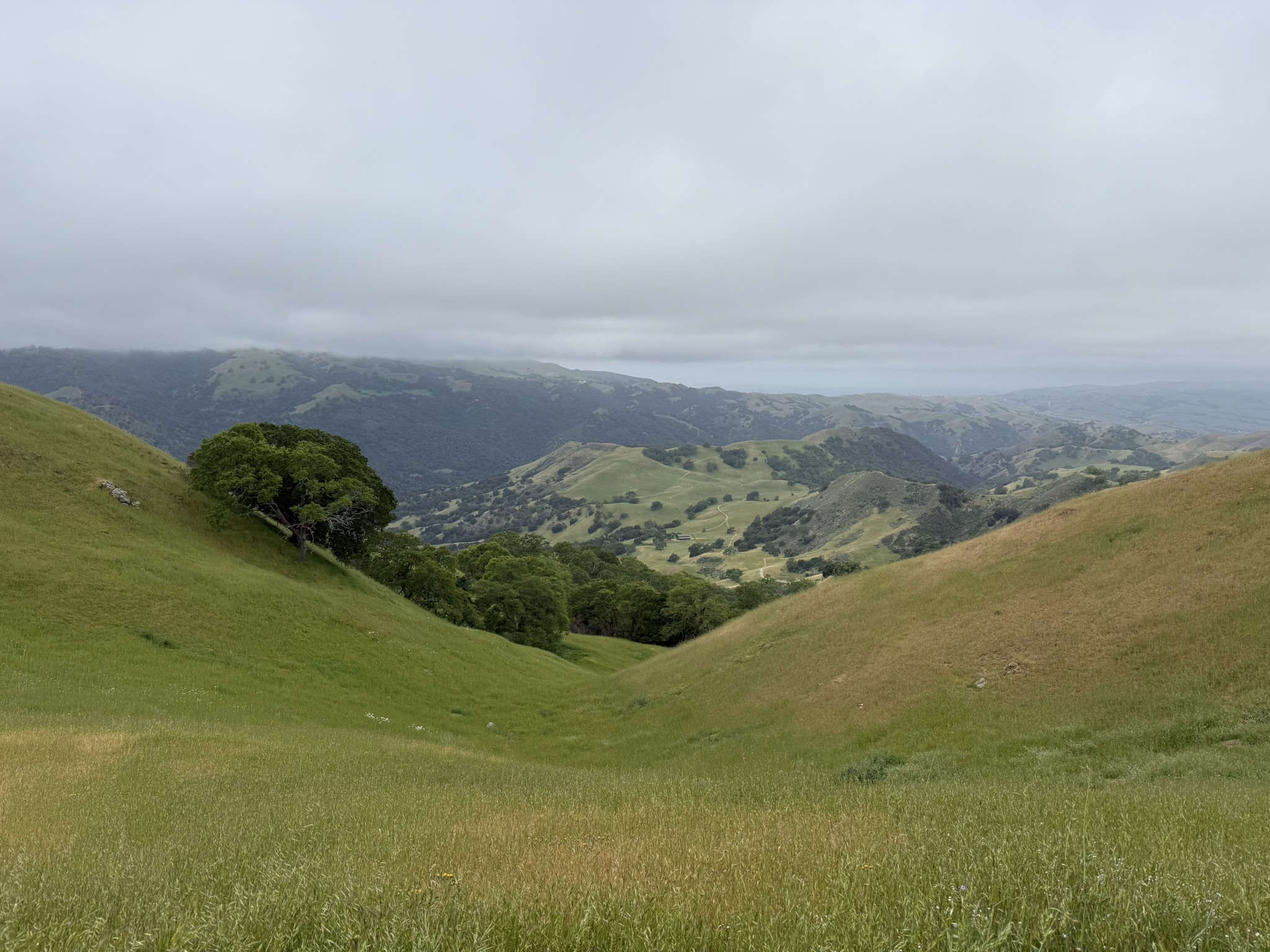 Sunol Wilderness Regional Preserve