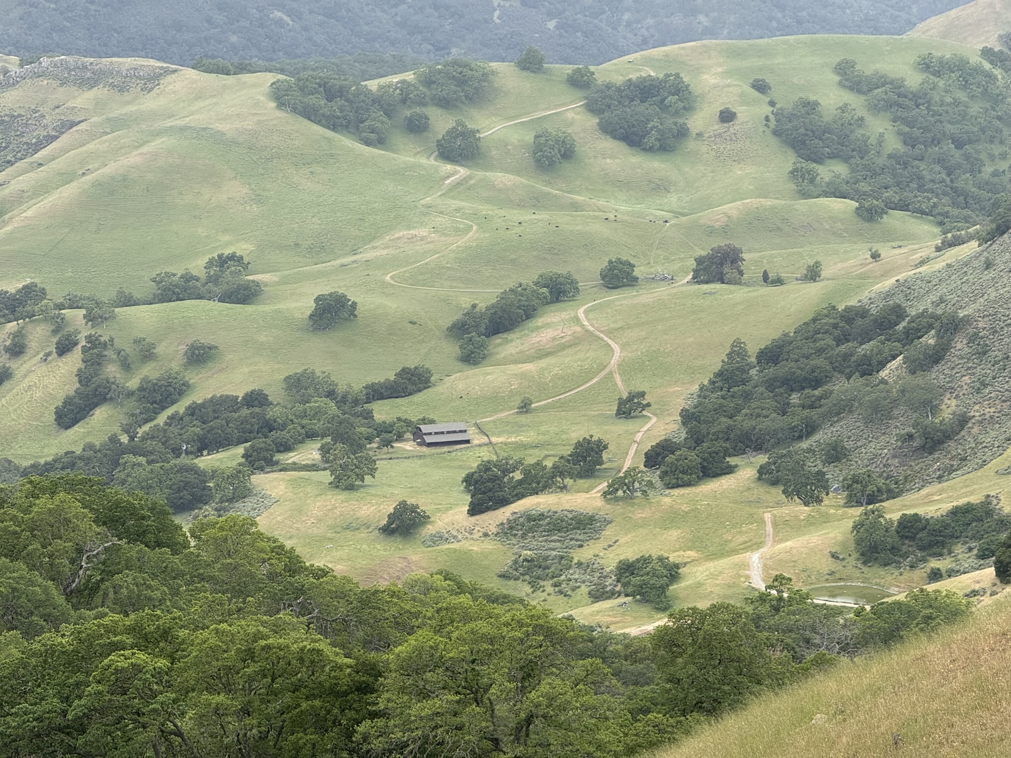 Sunol Wilderness Regional Preserve