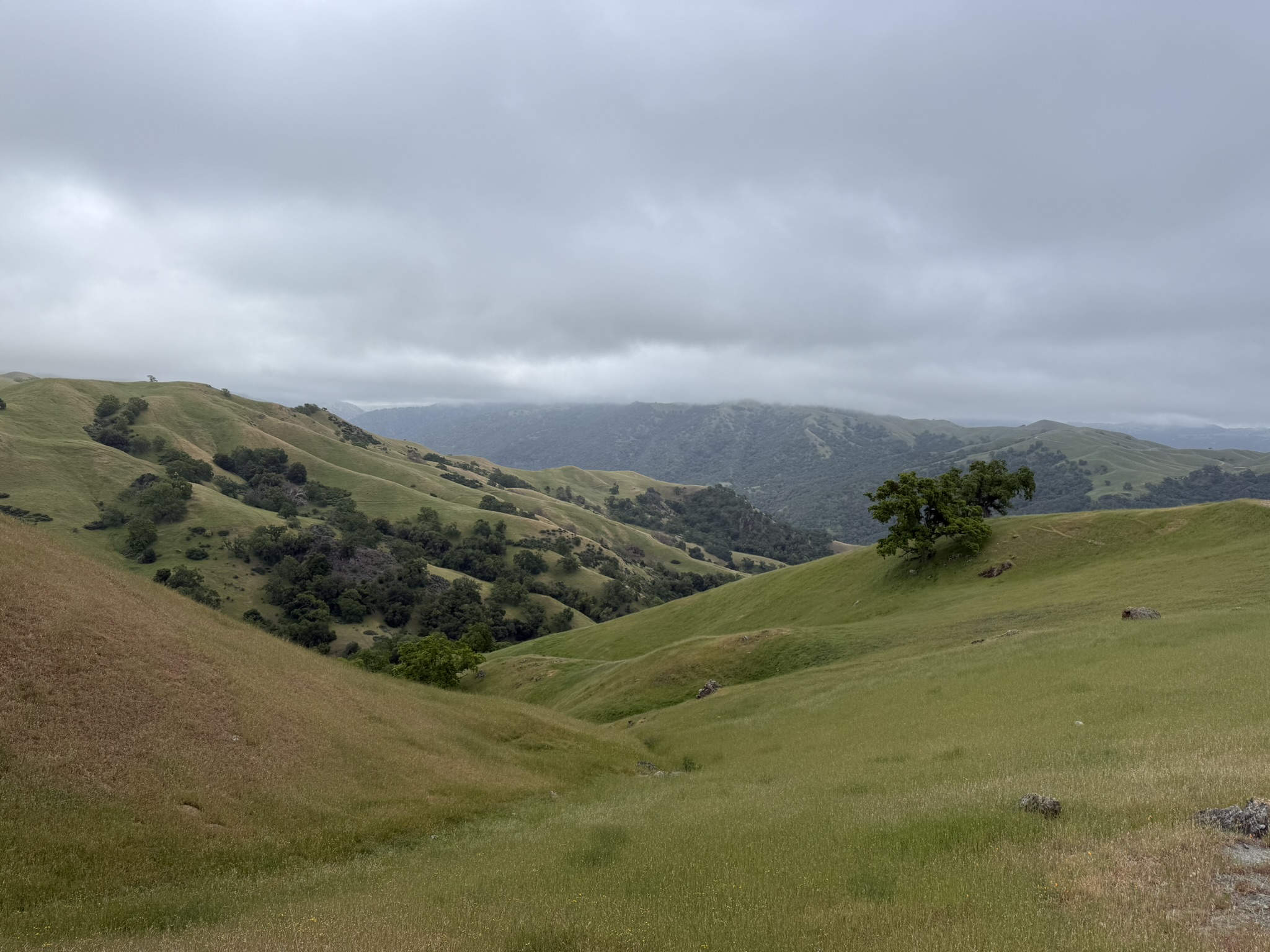 Sunol Wilderness Regional Preserve