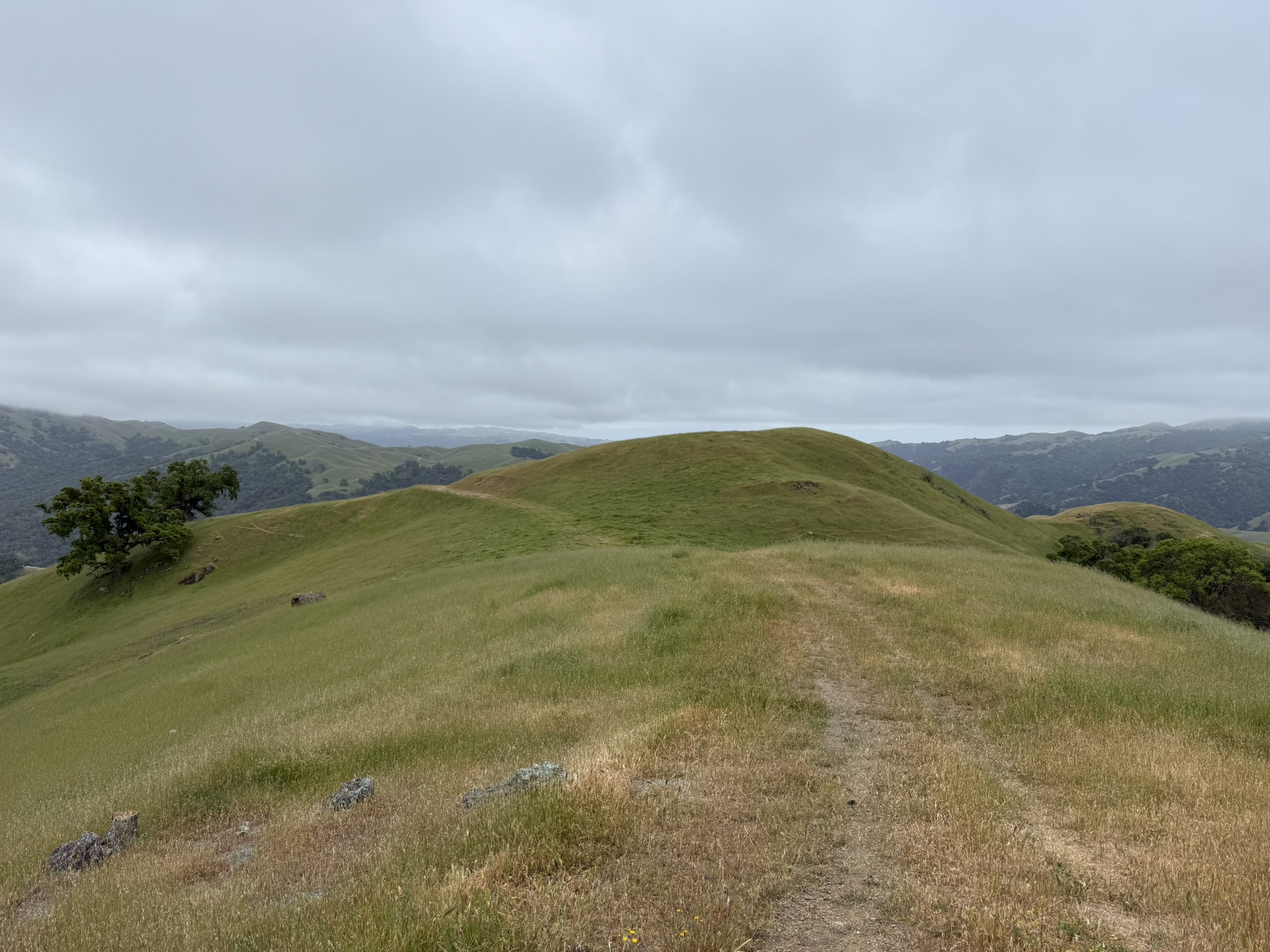 Sunol Wilderness Regional Preserve