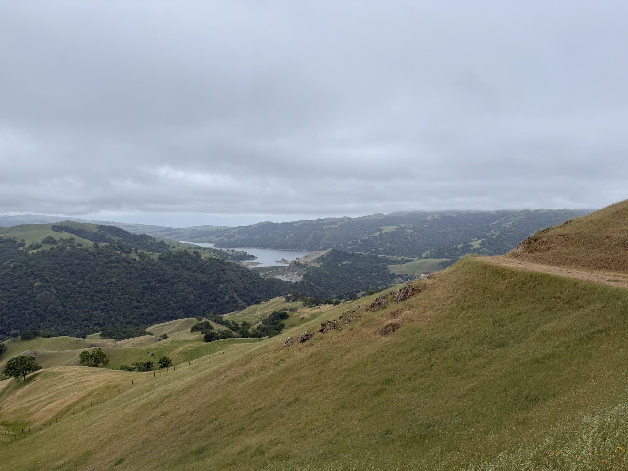 Sunol Wilderness Regional Preserve