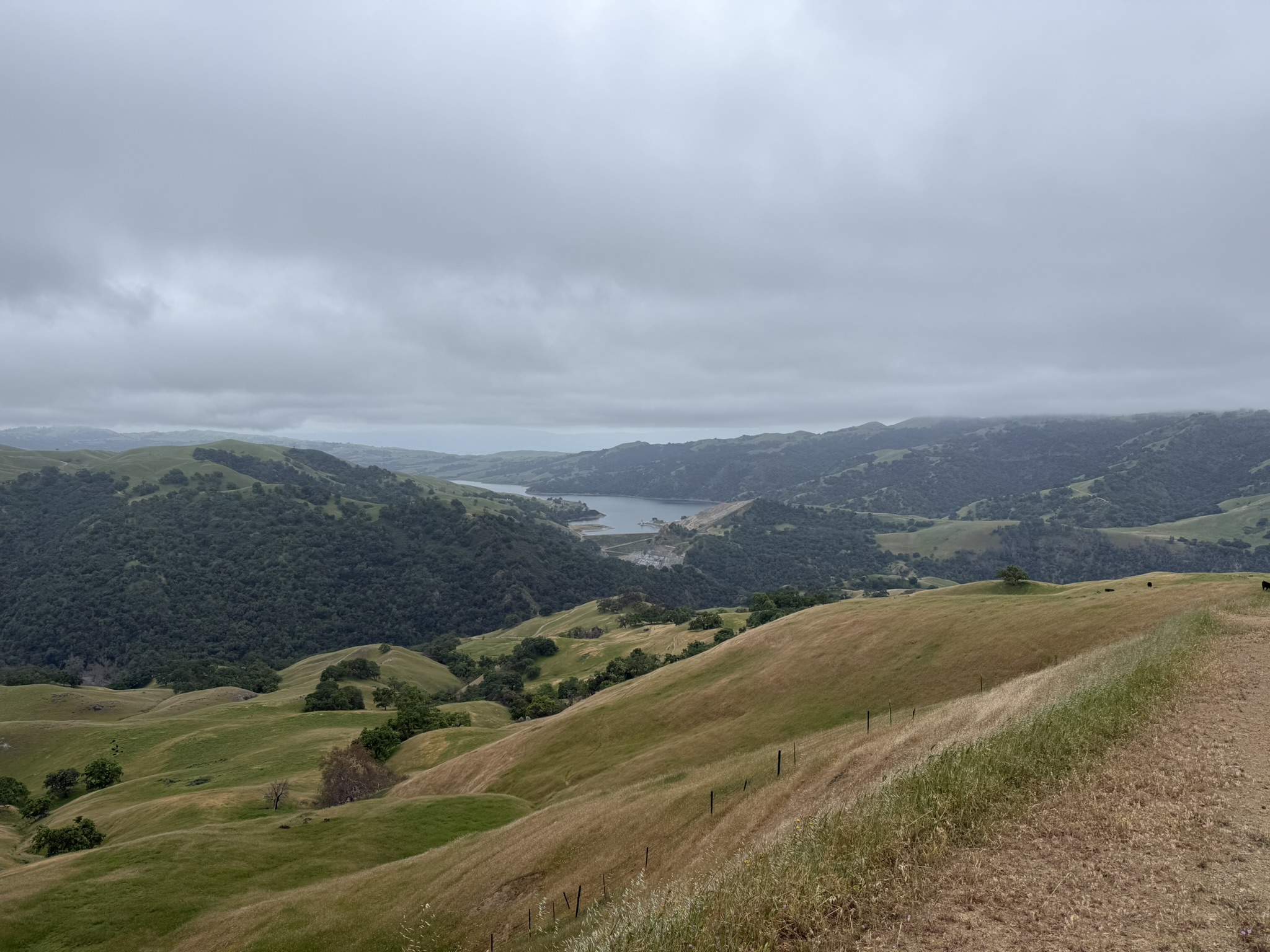 Sunol Wilderness Regional Preserve