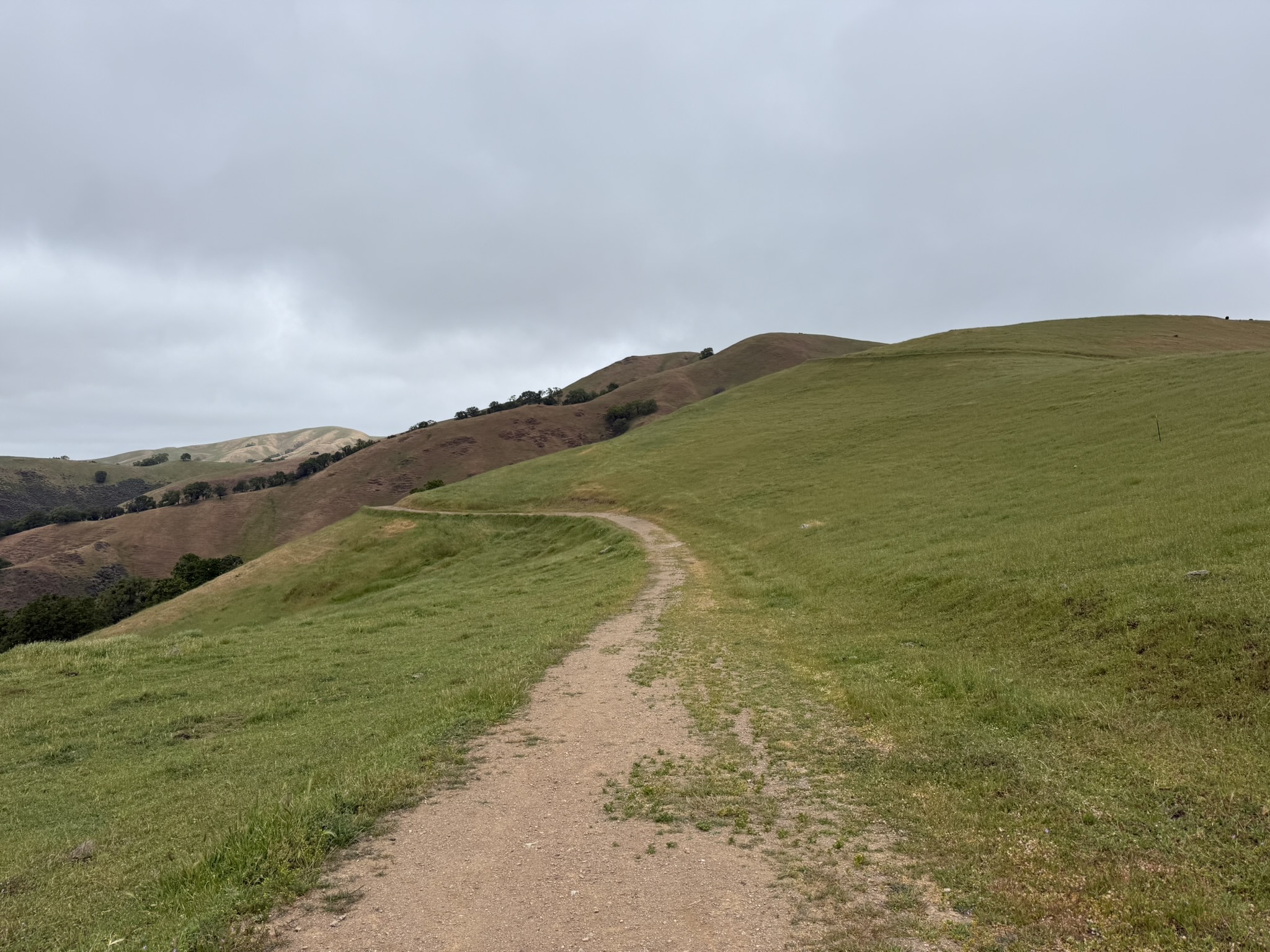 Sunol Wilderness Regional Preserve
